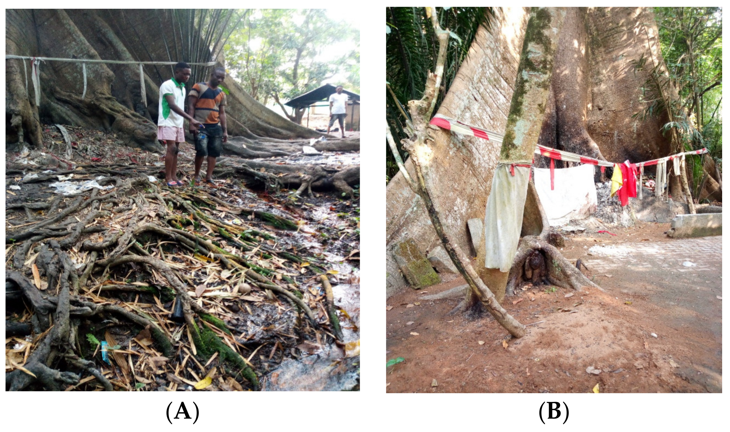 Engproc 37 00103 g001