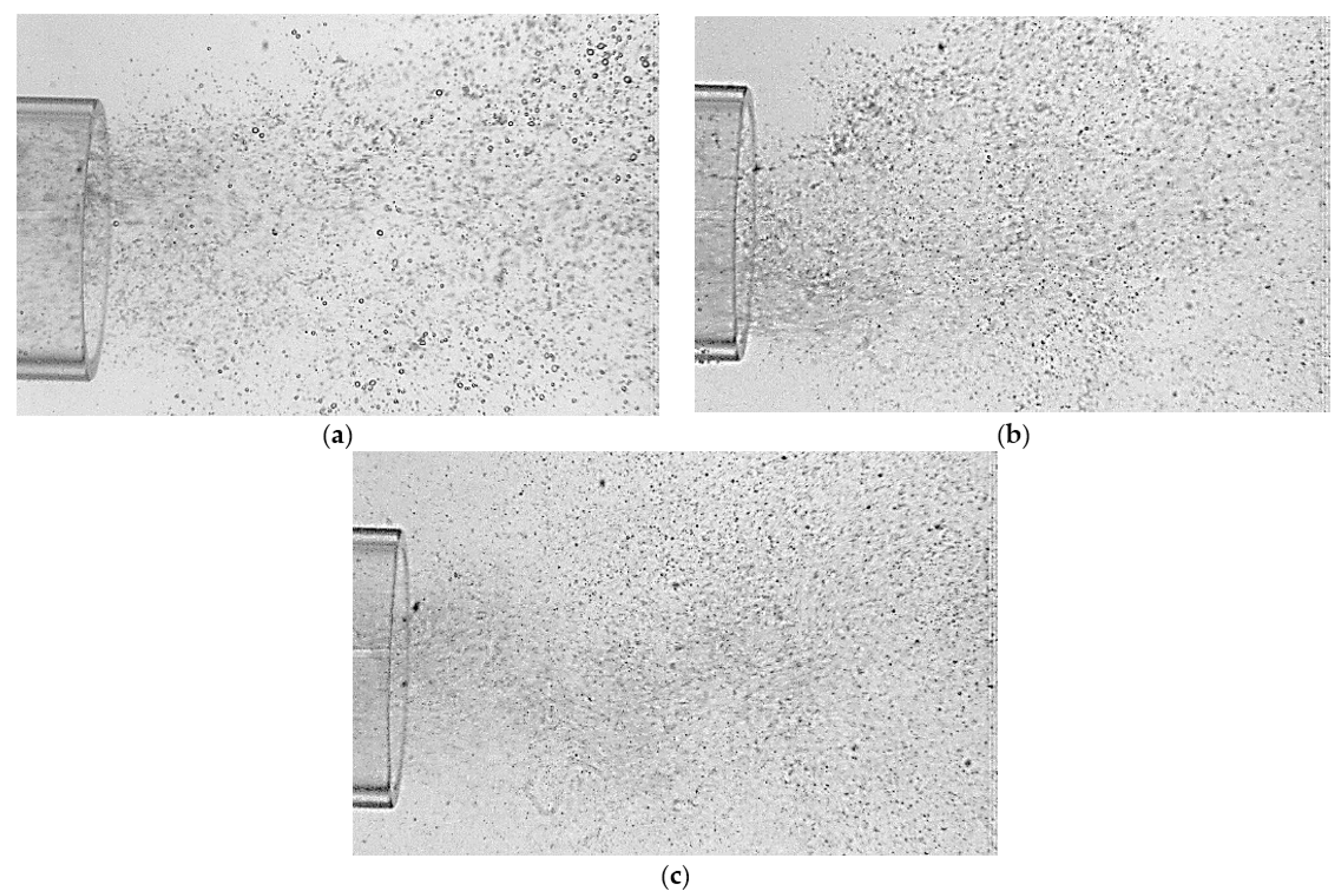 Engproc 37 00116 g003 550