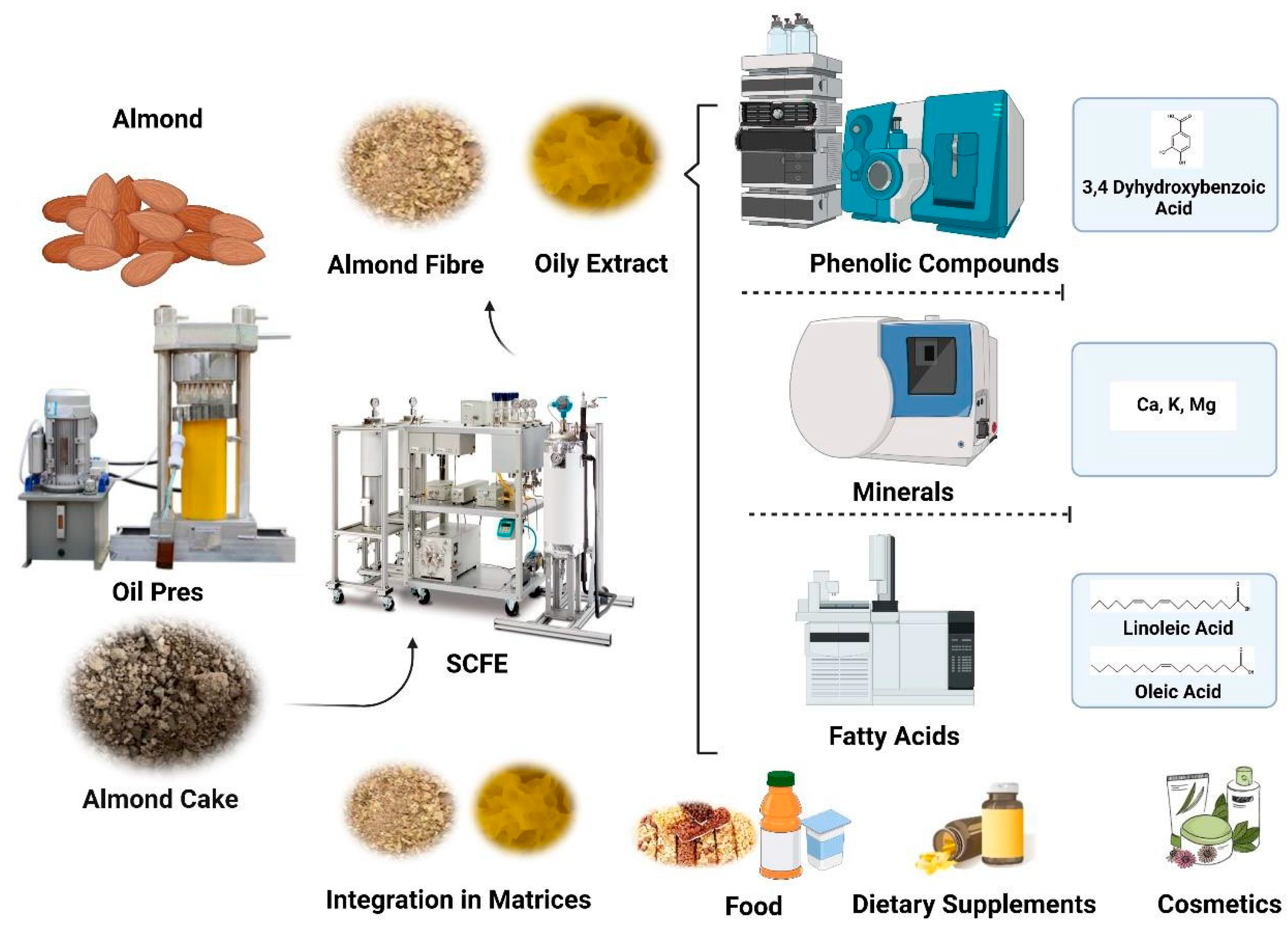 Engproc 37 00118 g001