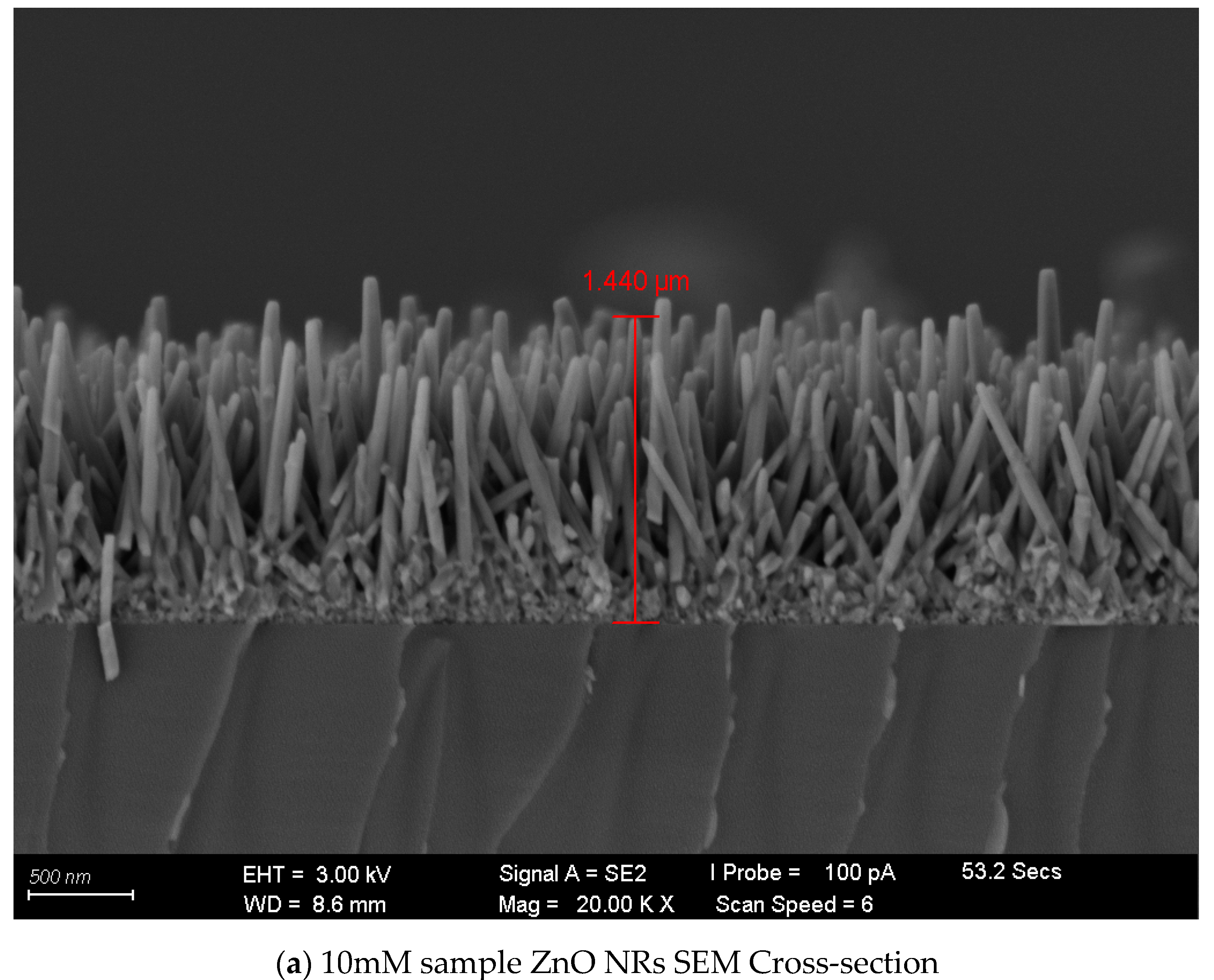 Engproc 38 00079 g004a Engproc 38 00079 g004a