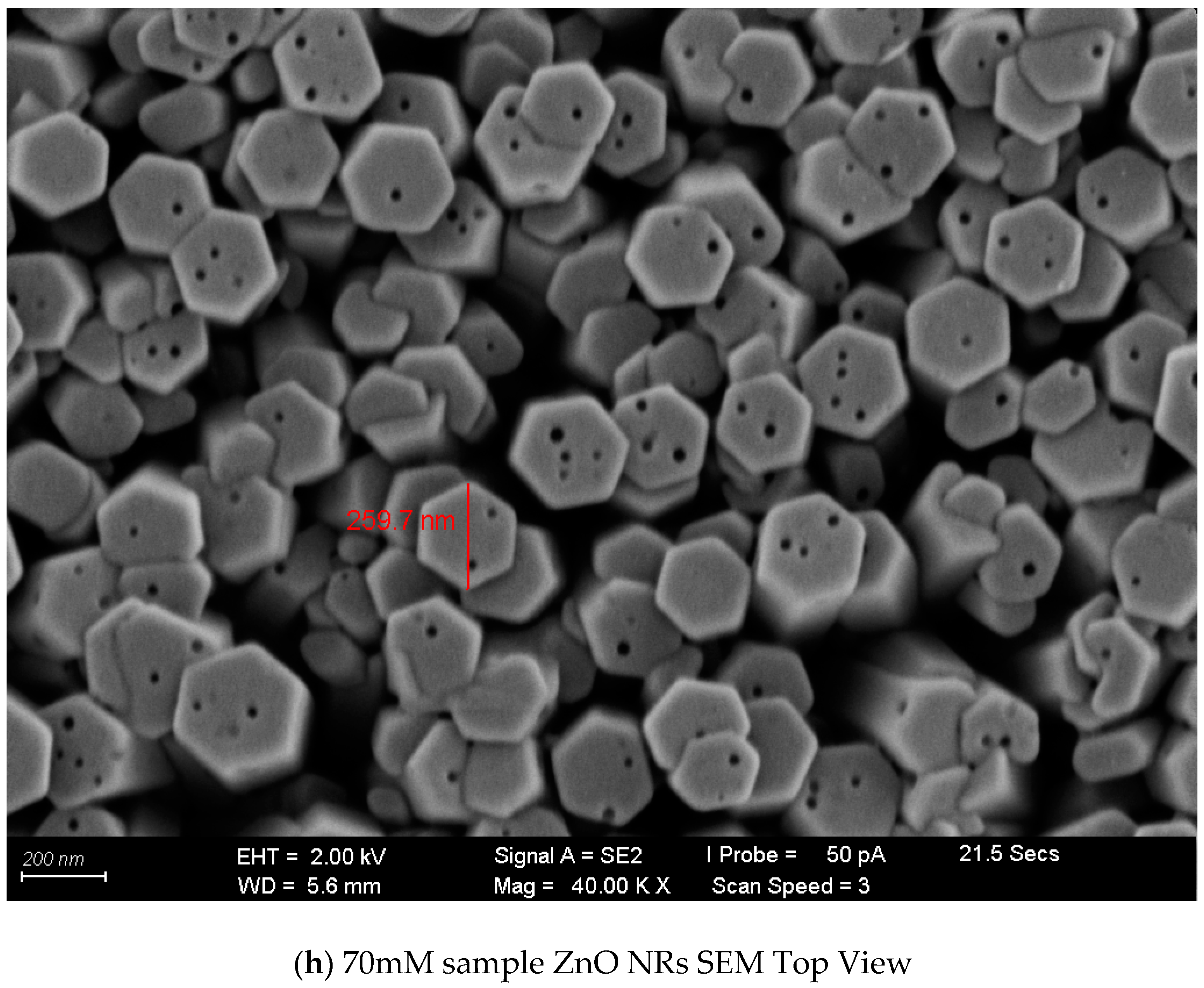 Engproc 38 00079 g004e Engproc 38 00079 g004e