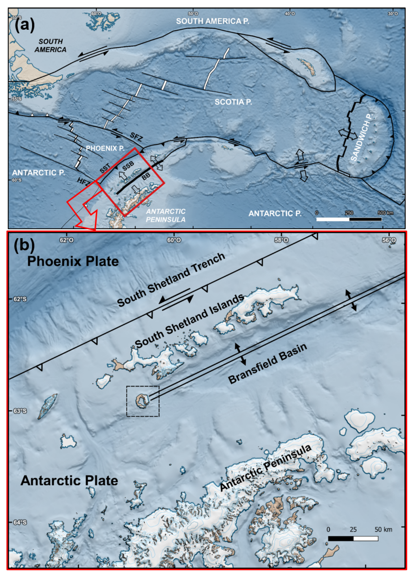 Engproc 39 00025 g001