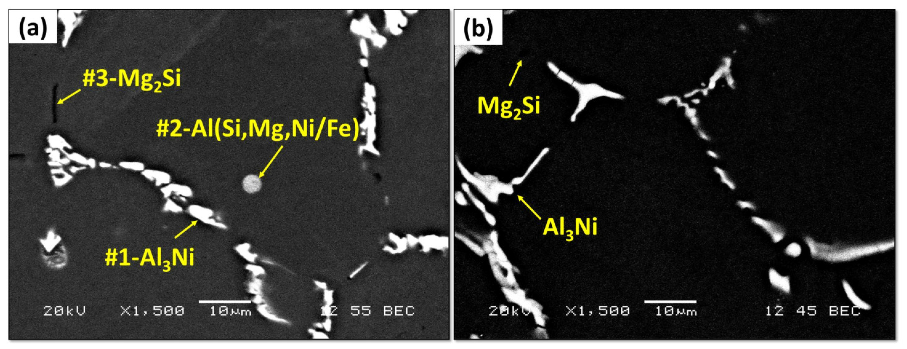 Engproc 43 00003 g005