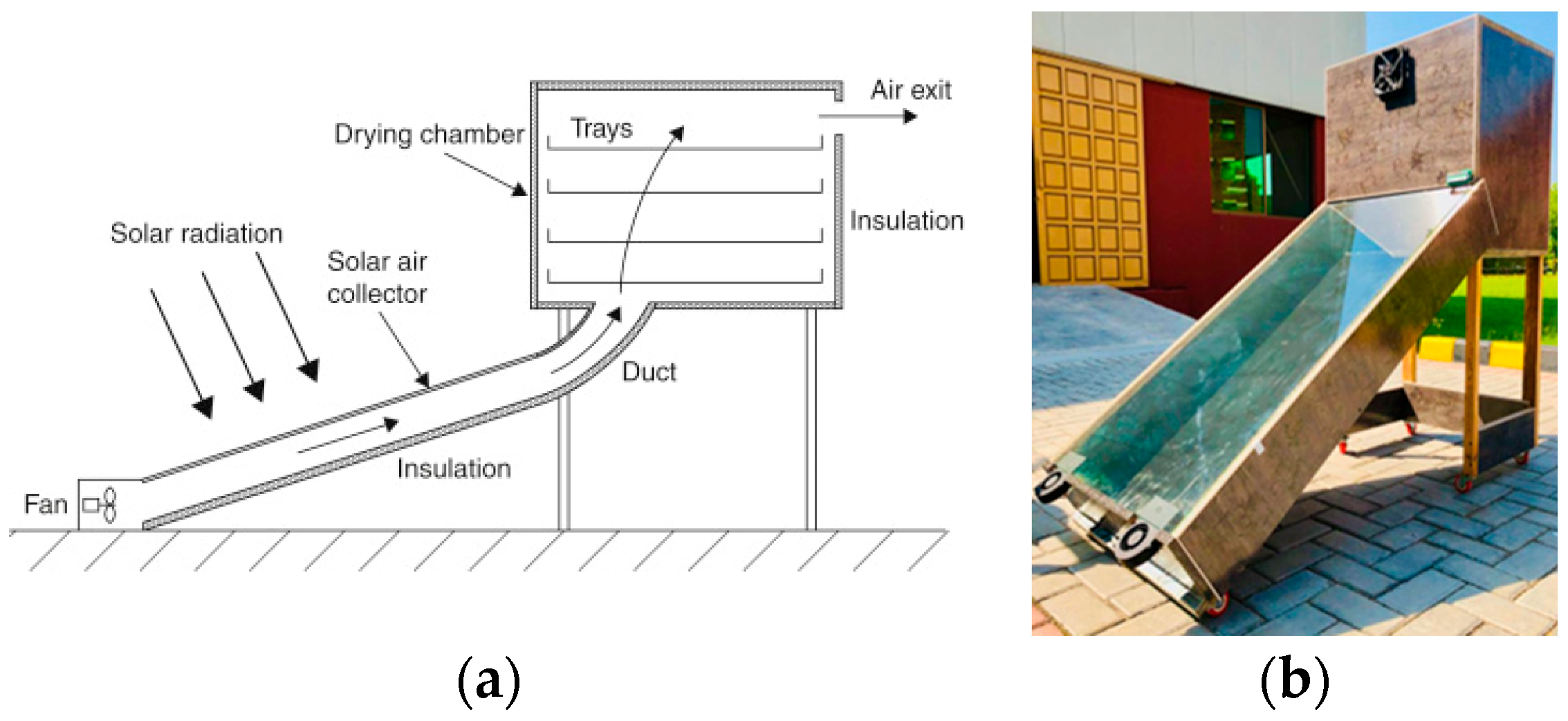Engproc 45 00048 g001