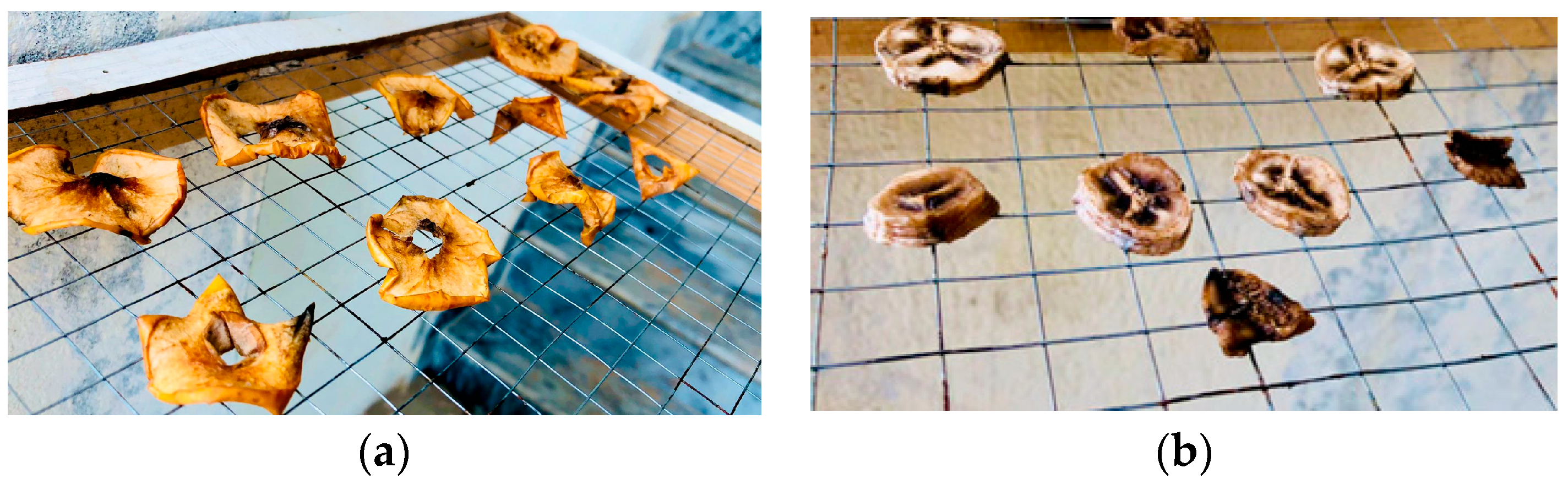 Engproc 45 00048 g003