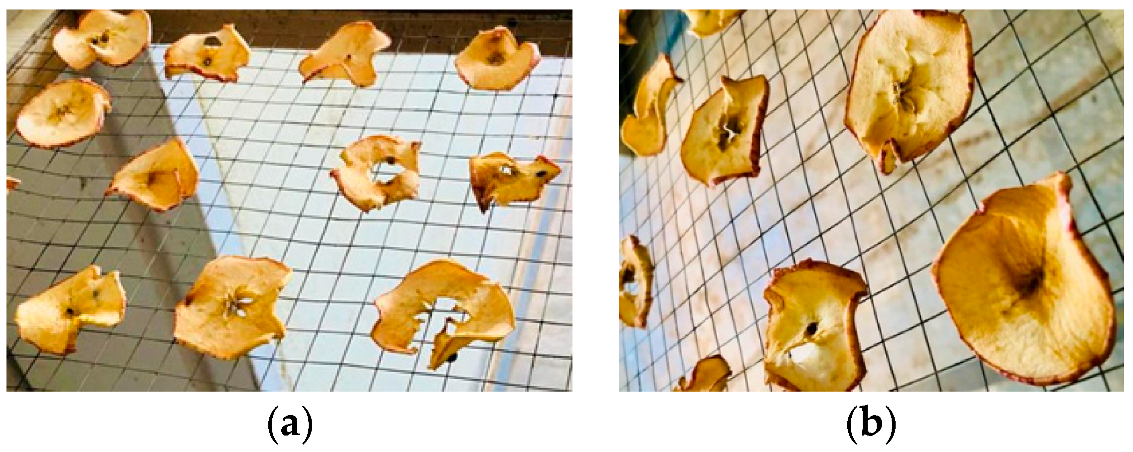 Engproc 45 00048 g004