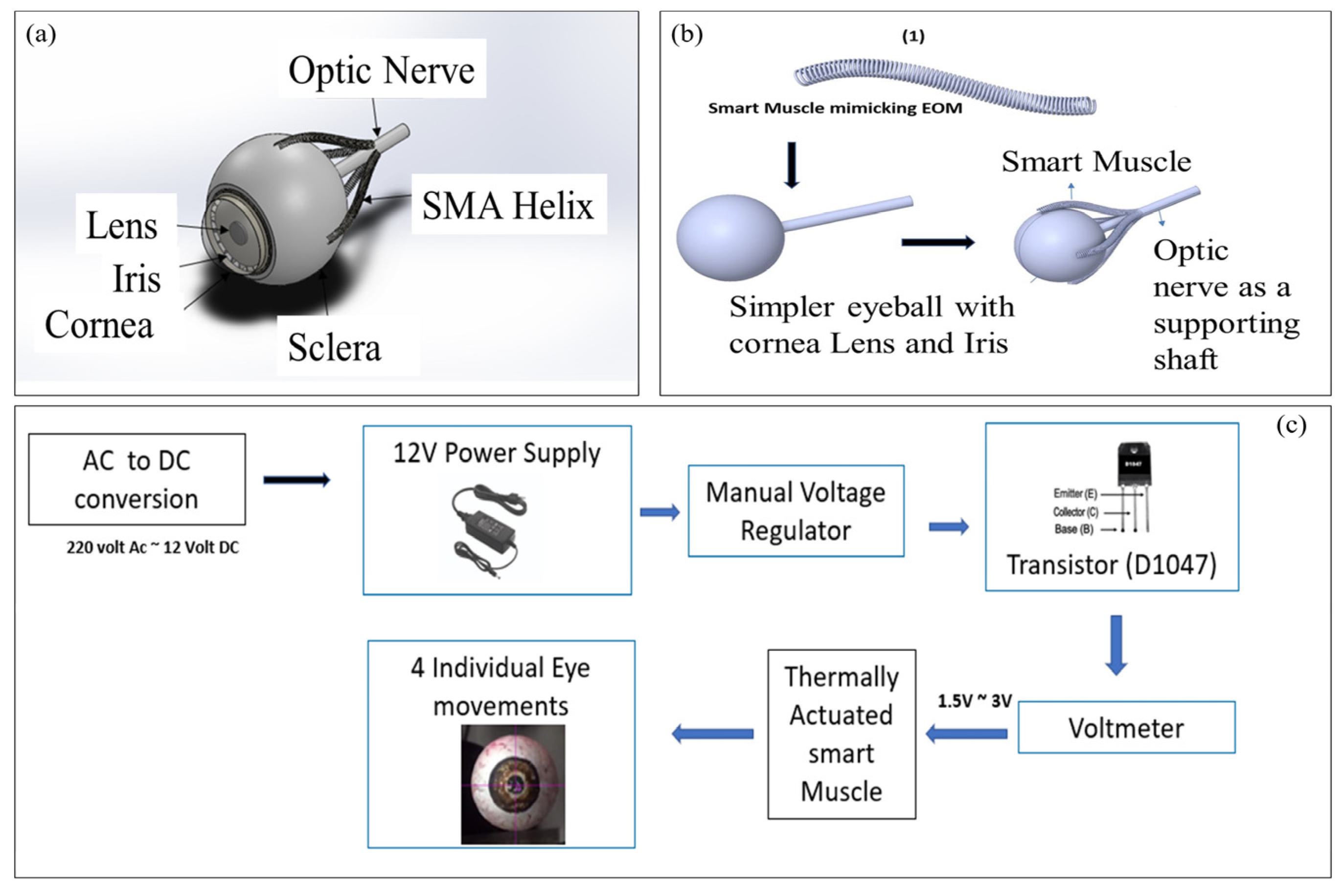Engproc 45 00054 g001