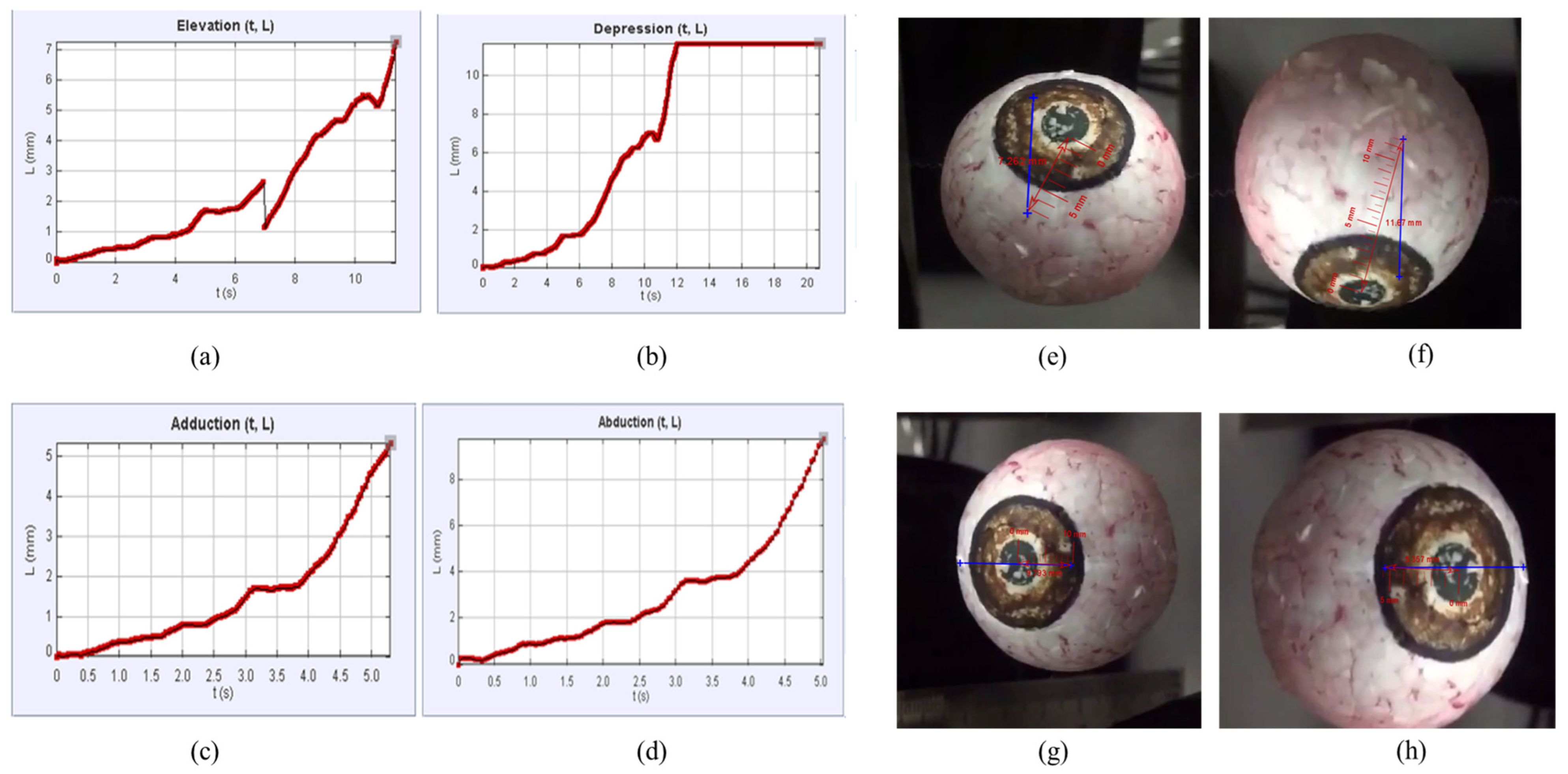 Engproc 45 00054 g003