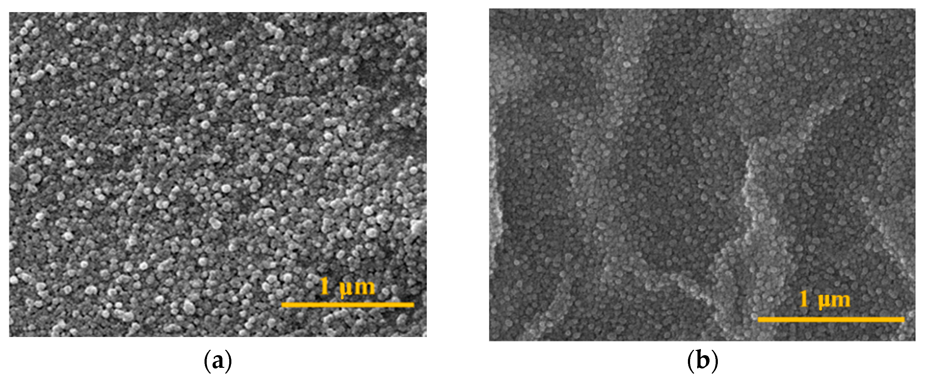 Engproc 46 00019 g003a