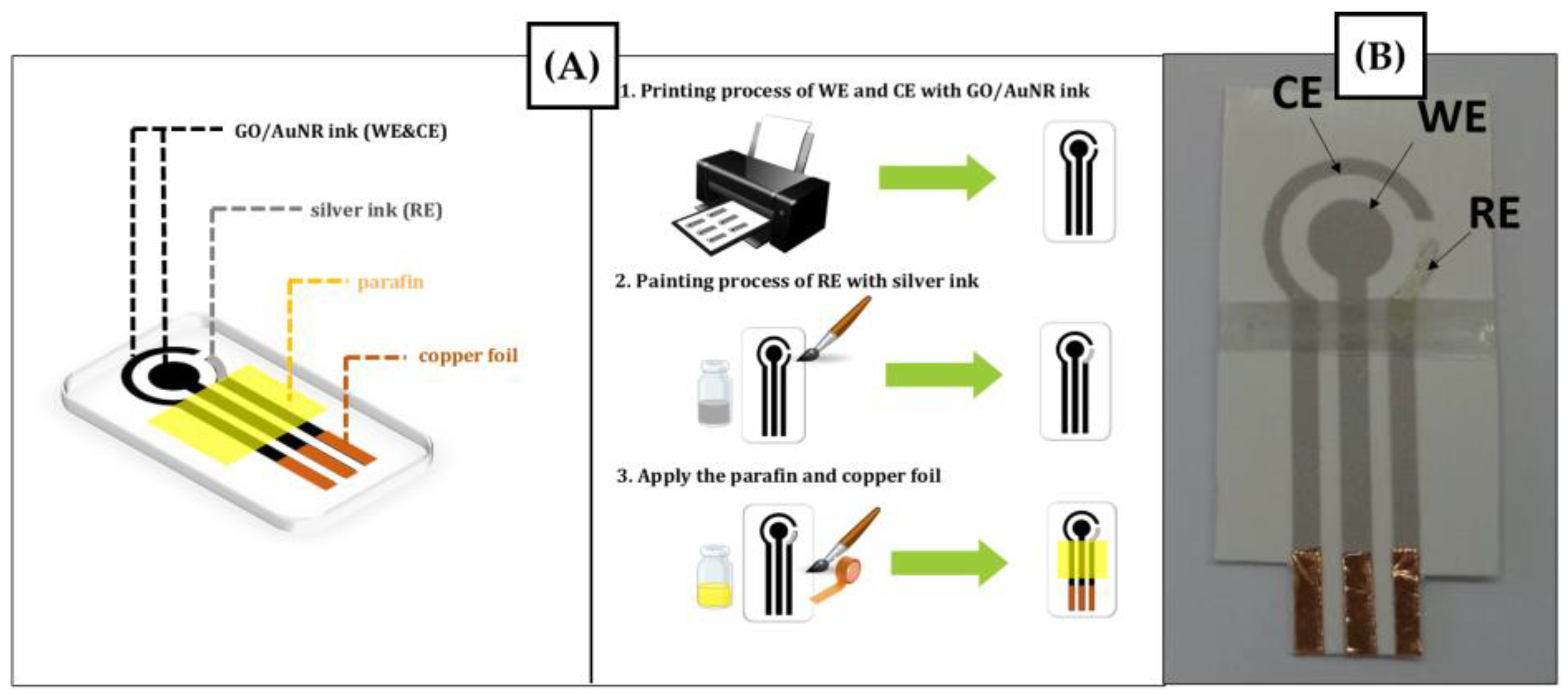 Engproc 48 00024 g001