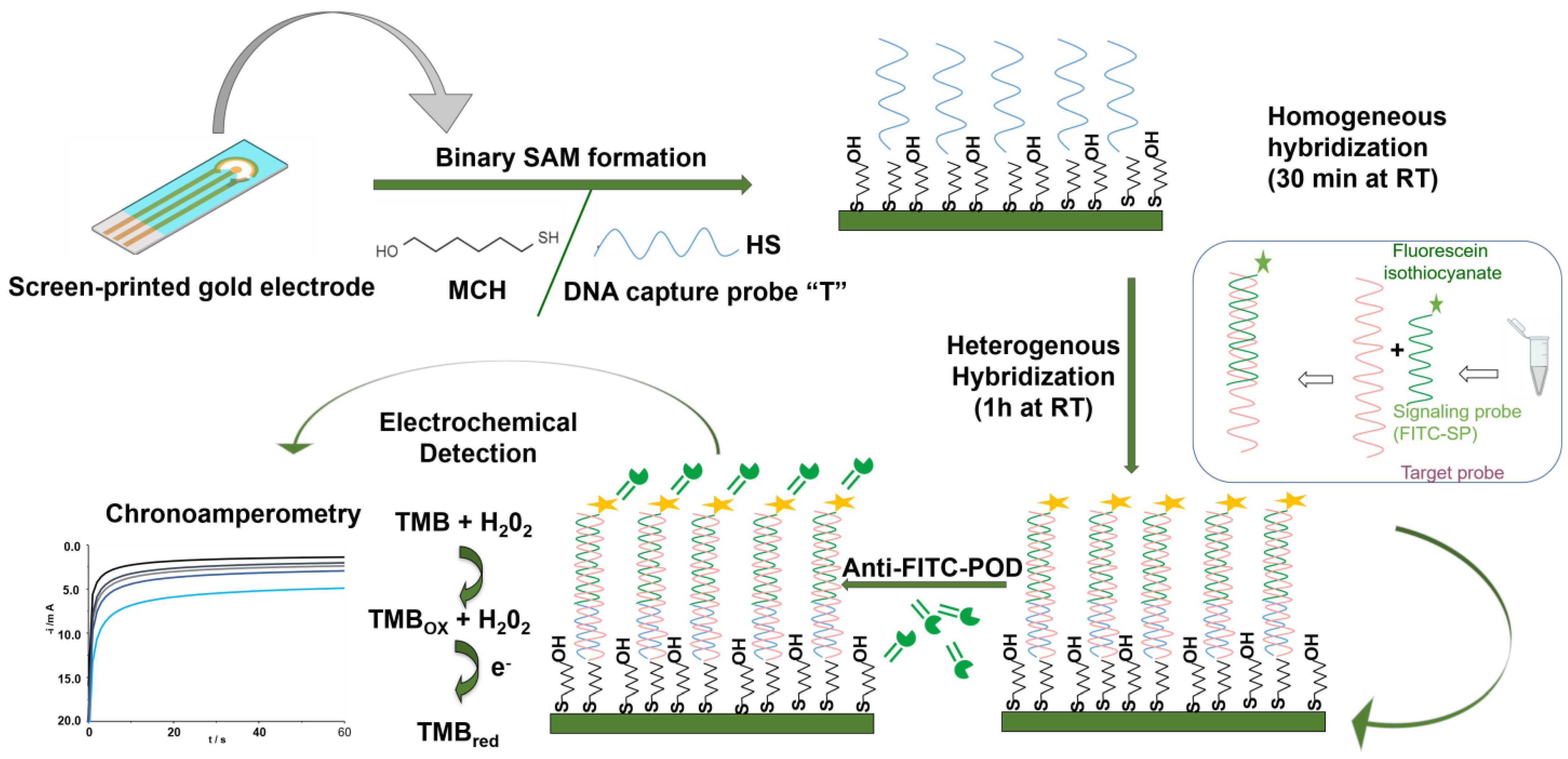Engproc 48 00039 g001