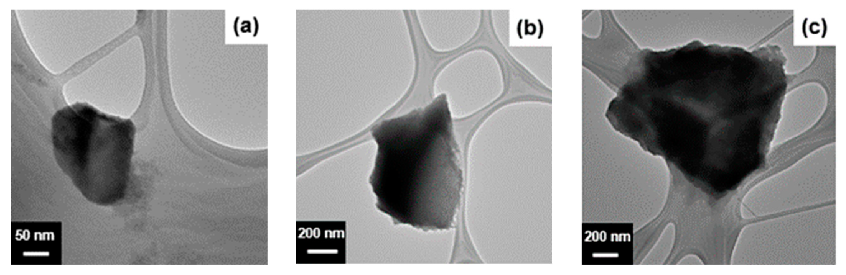 Engproc 48 00045 g002