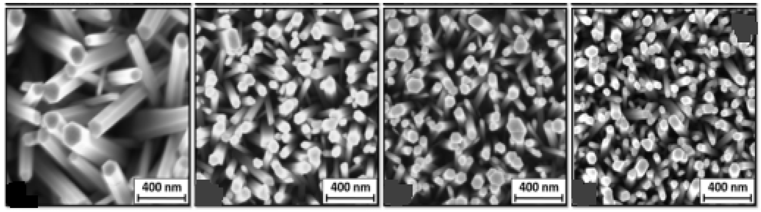 Engproc 48 00051 g001