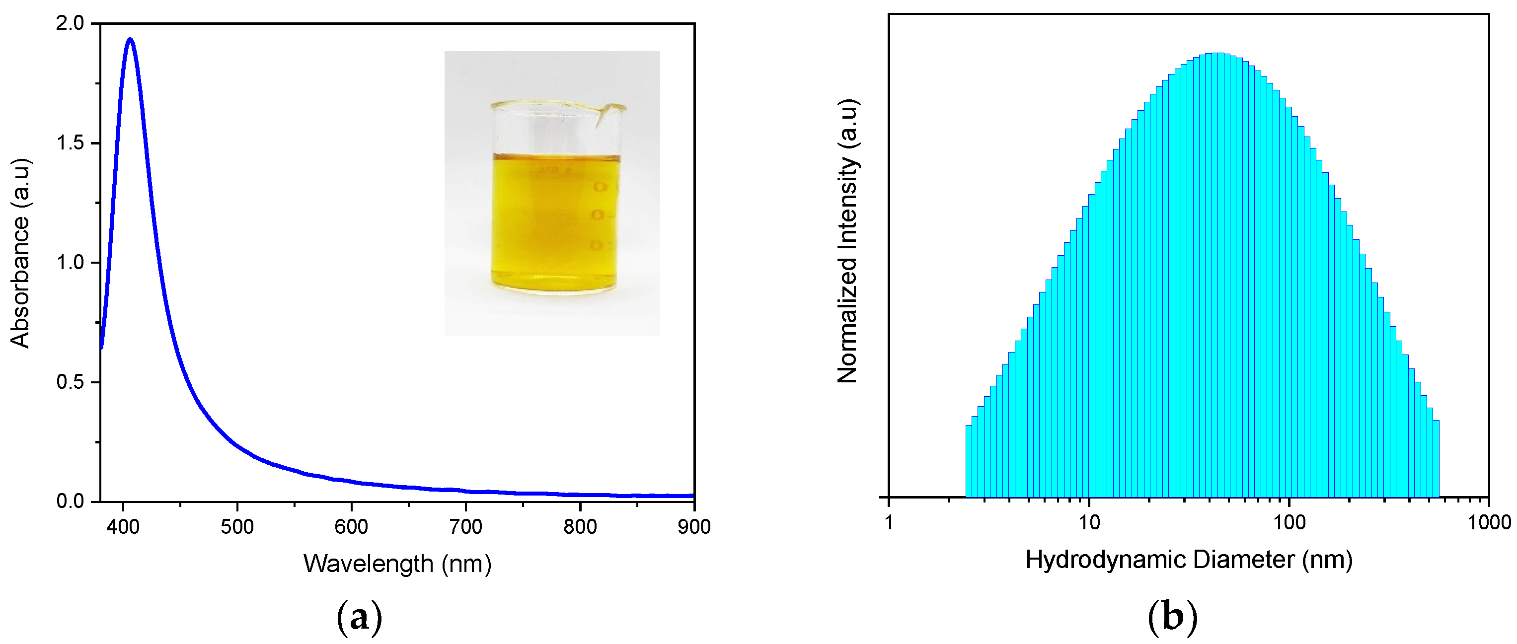 Engproc 48 00055 g001