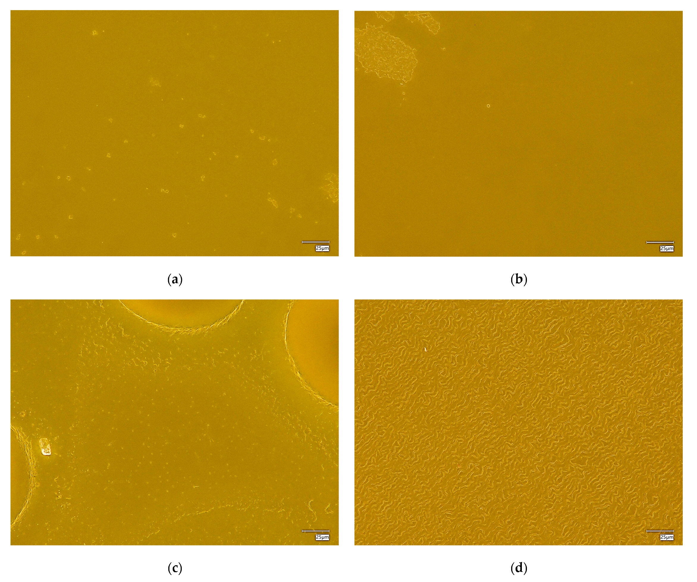 Engproc 48 00058 g004a