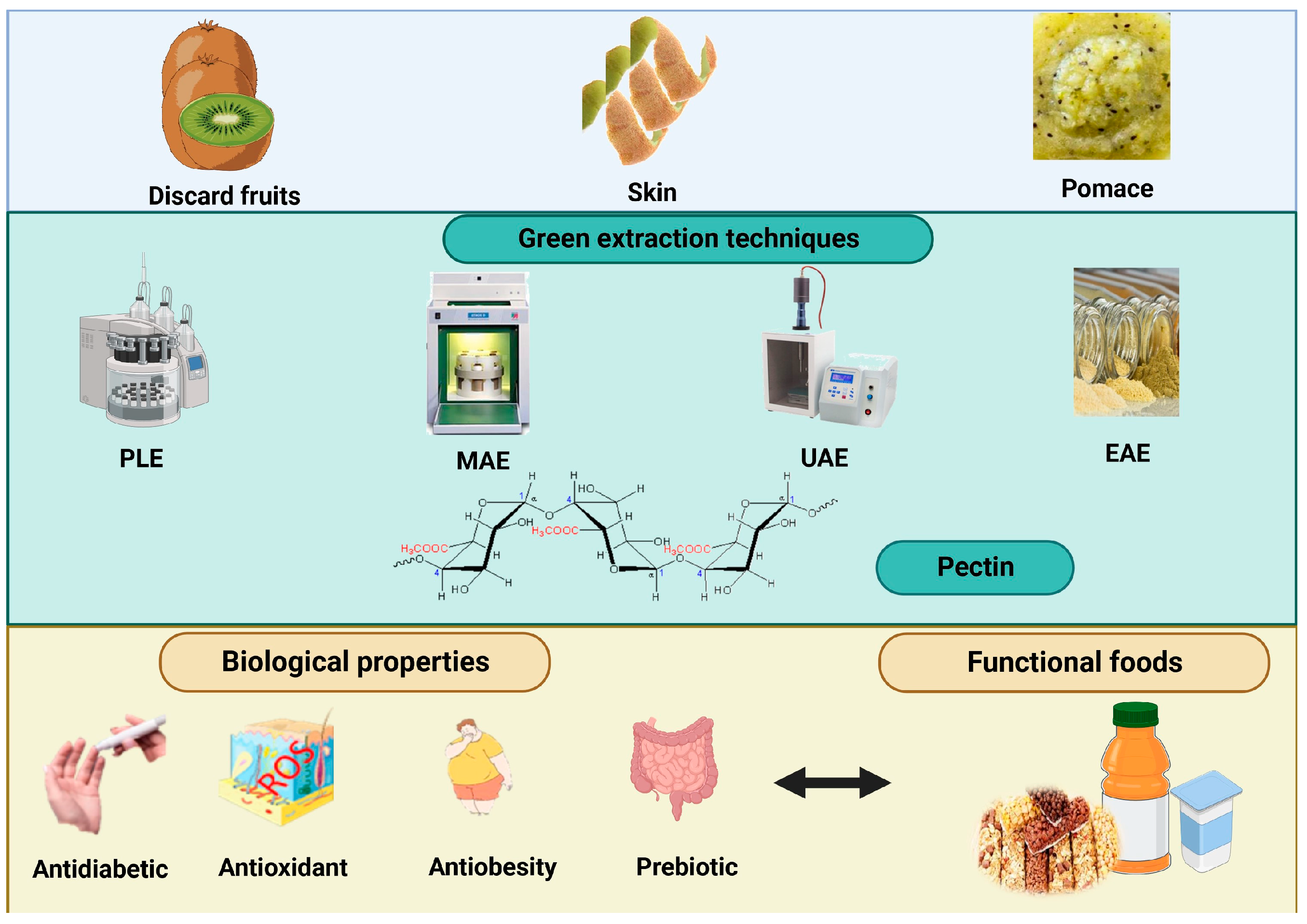 Engproc 48 00060 g001