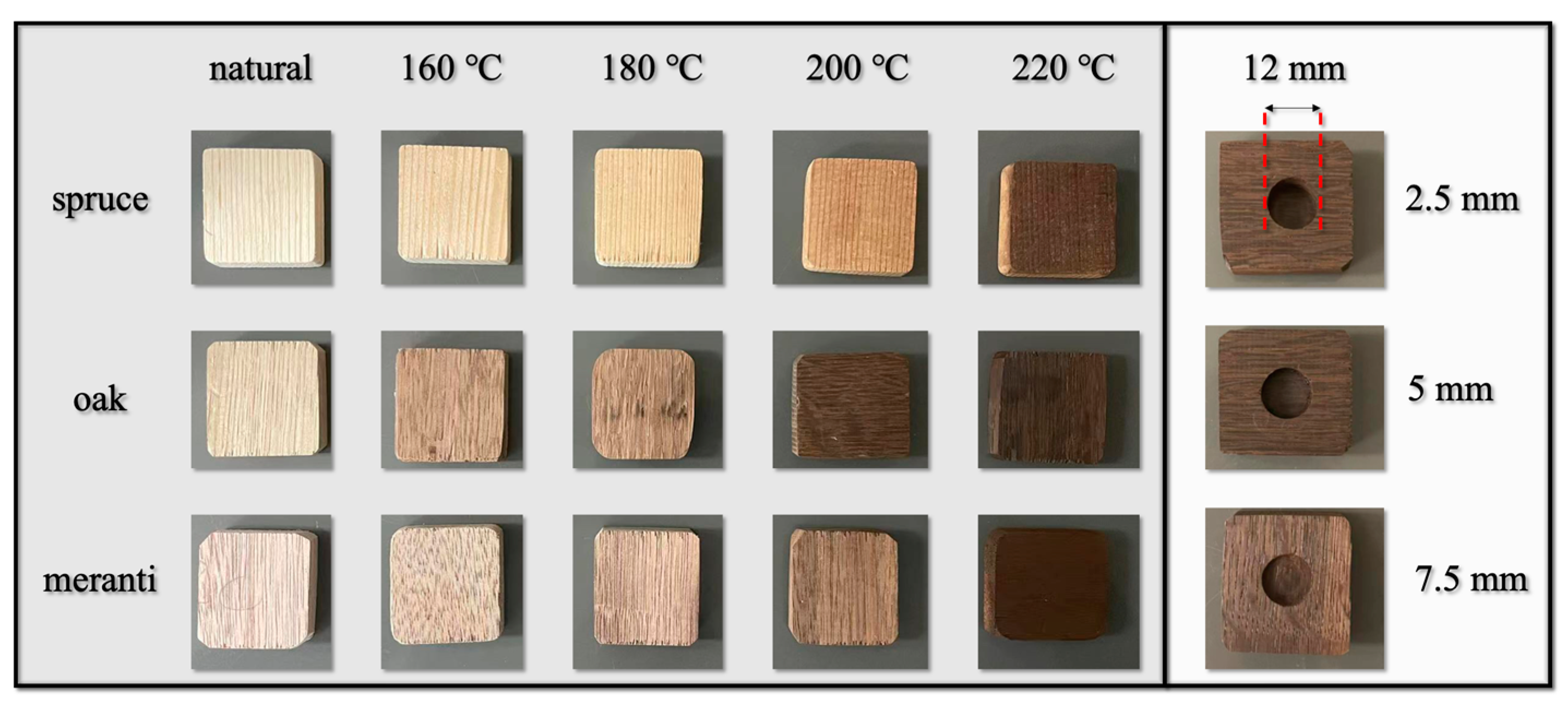 Engproc 51 00037 g001