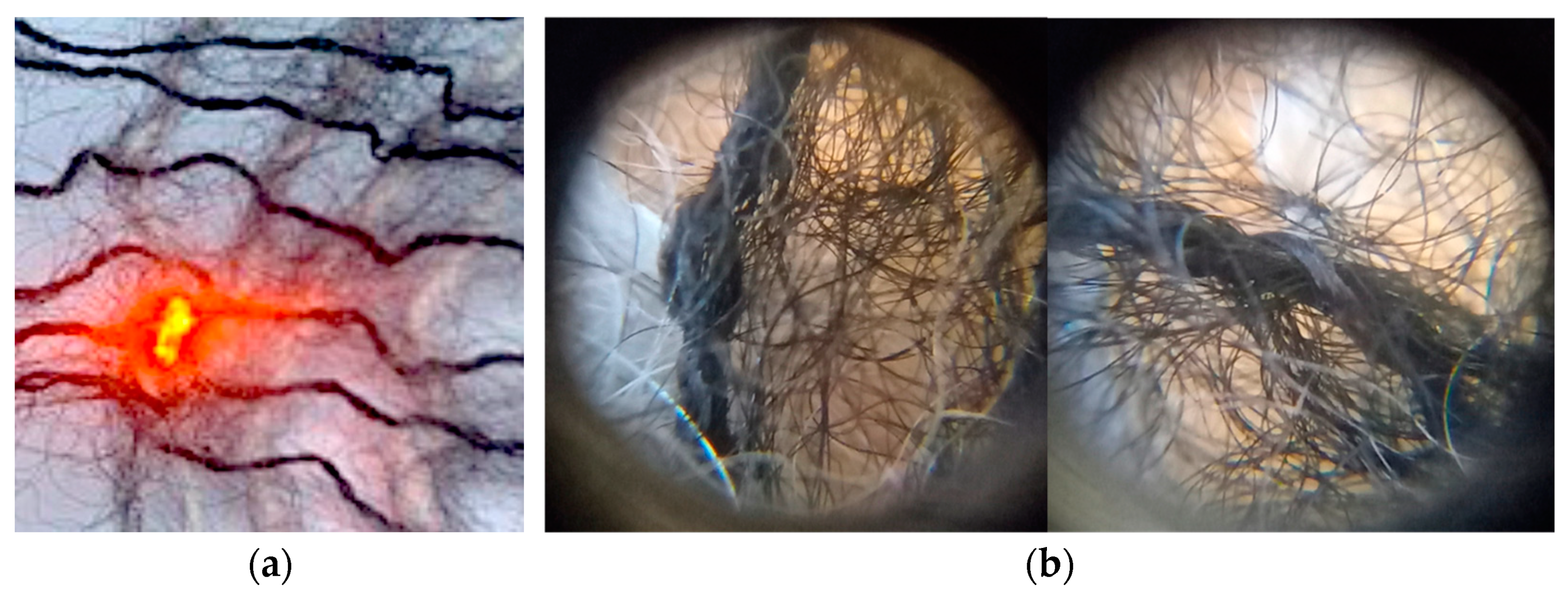 Engproc 52 00026 g001