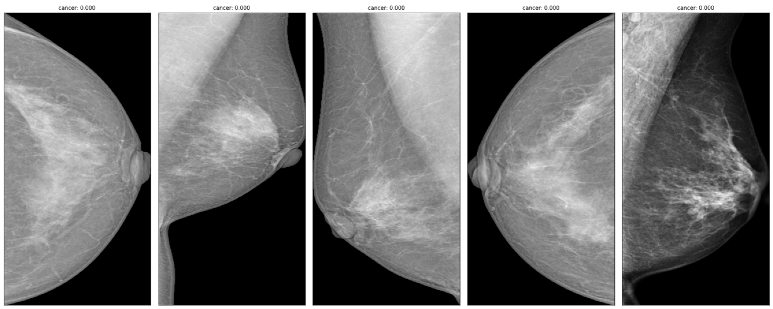 Engproc 55 00006 g001