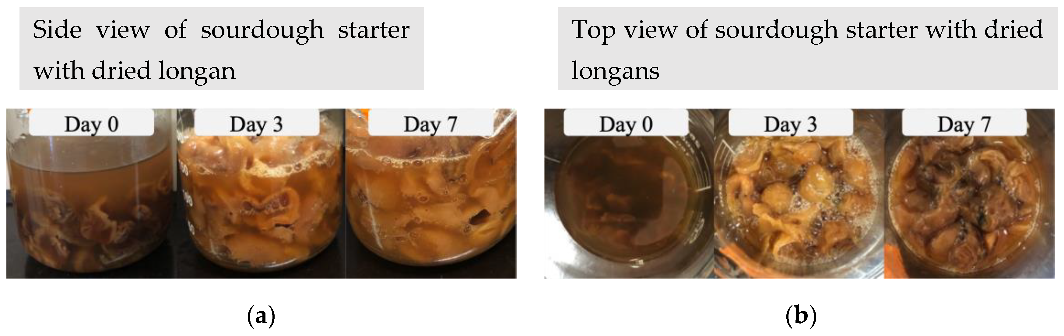 Engproc 55 00017 g001