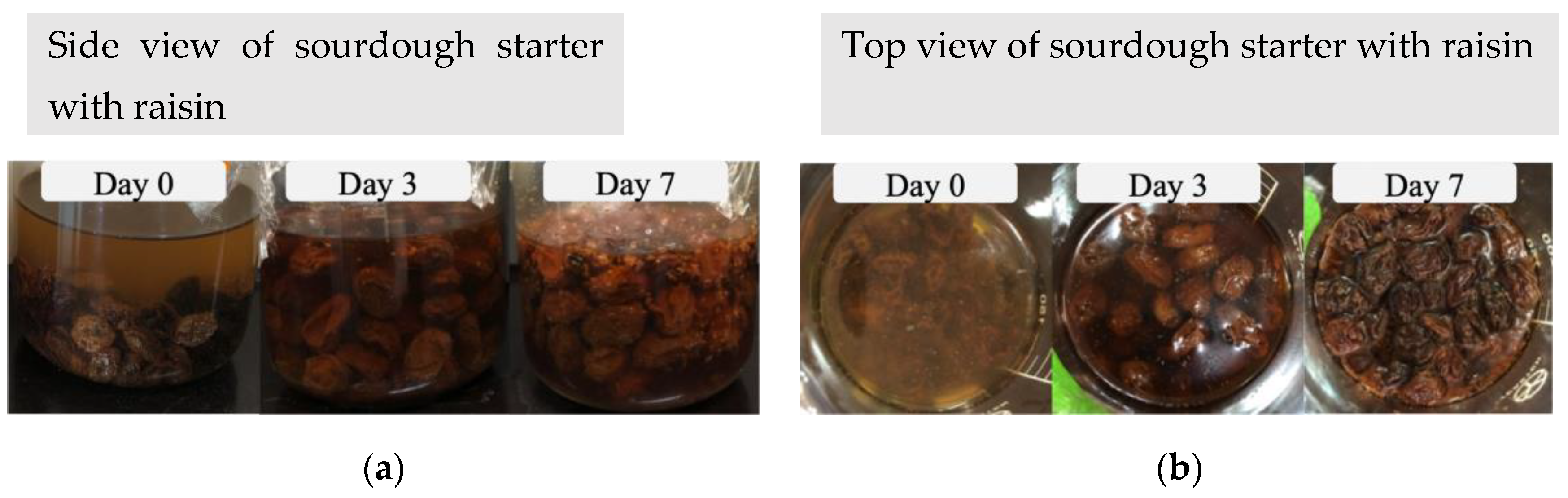 Engproc 55 00017 g002