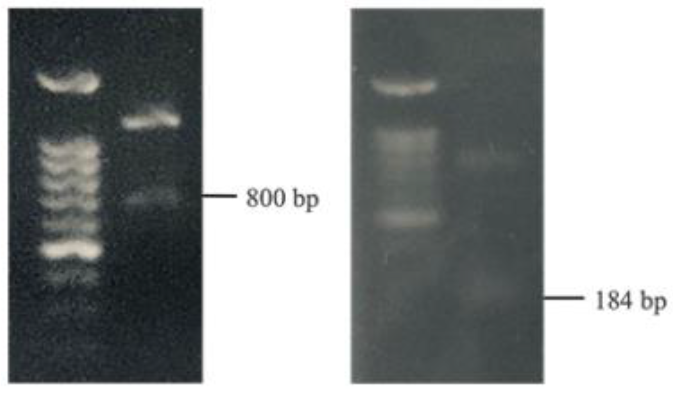 Engproc 55 00017 g004