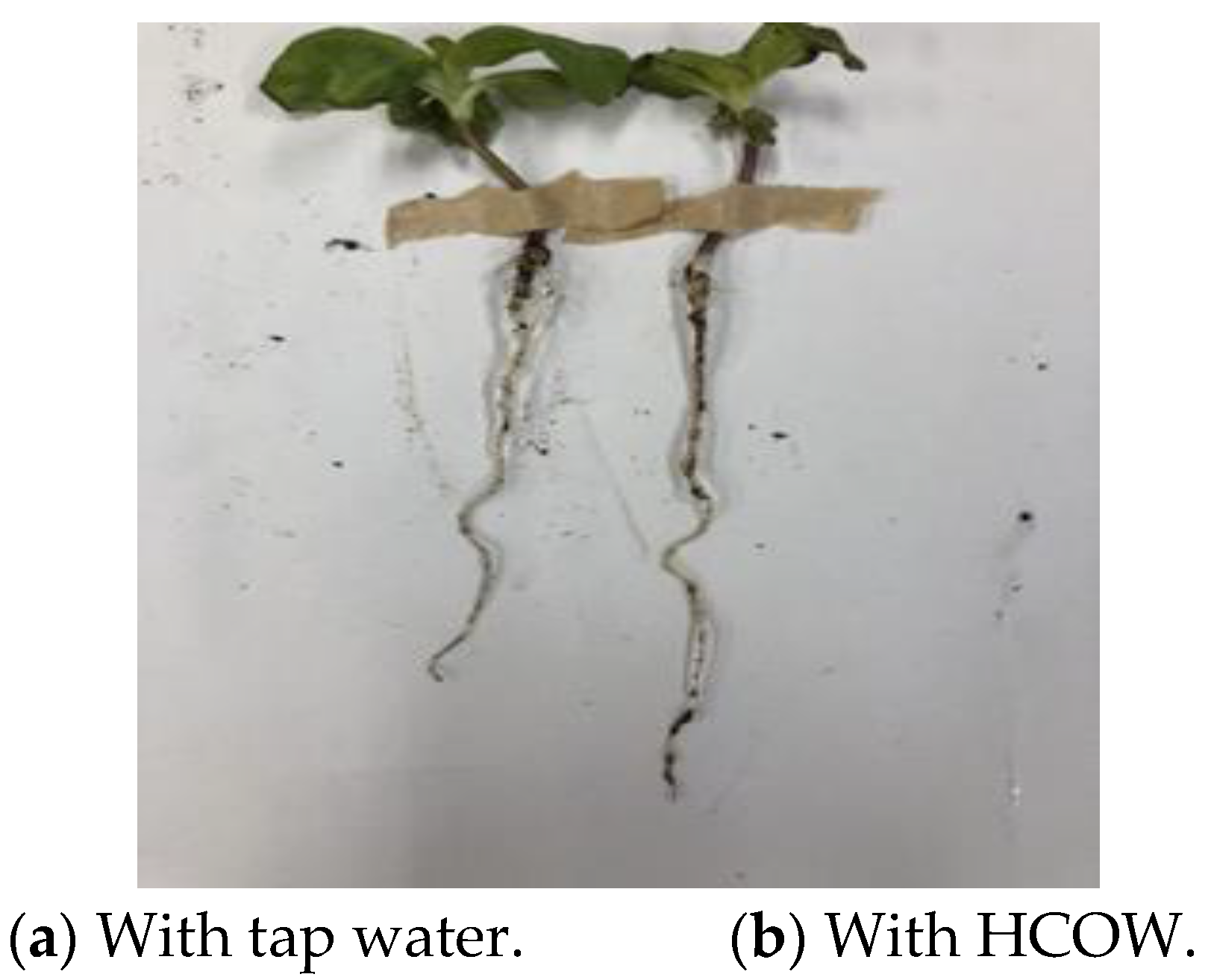 Engproc 55 00023 g005