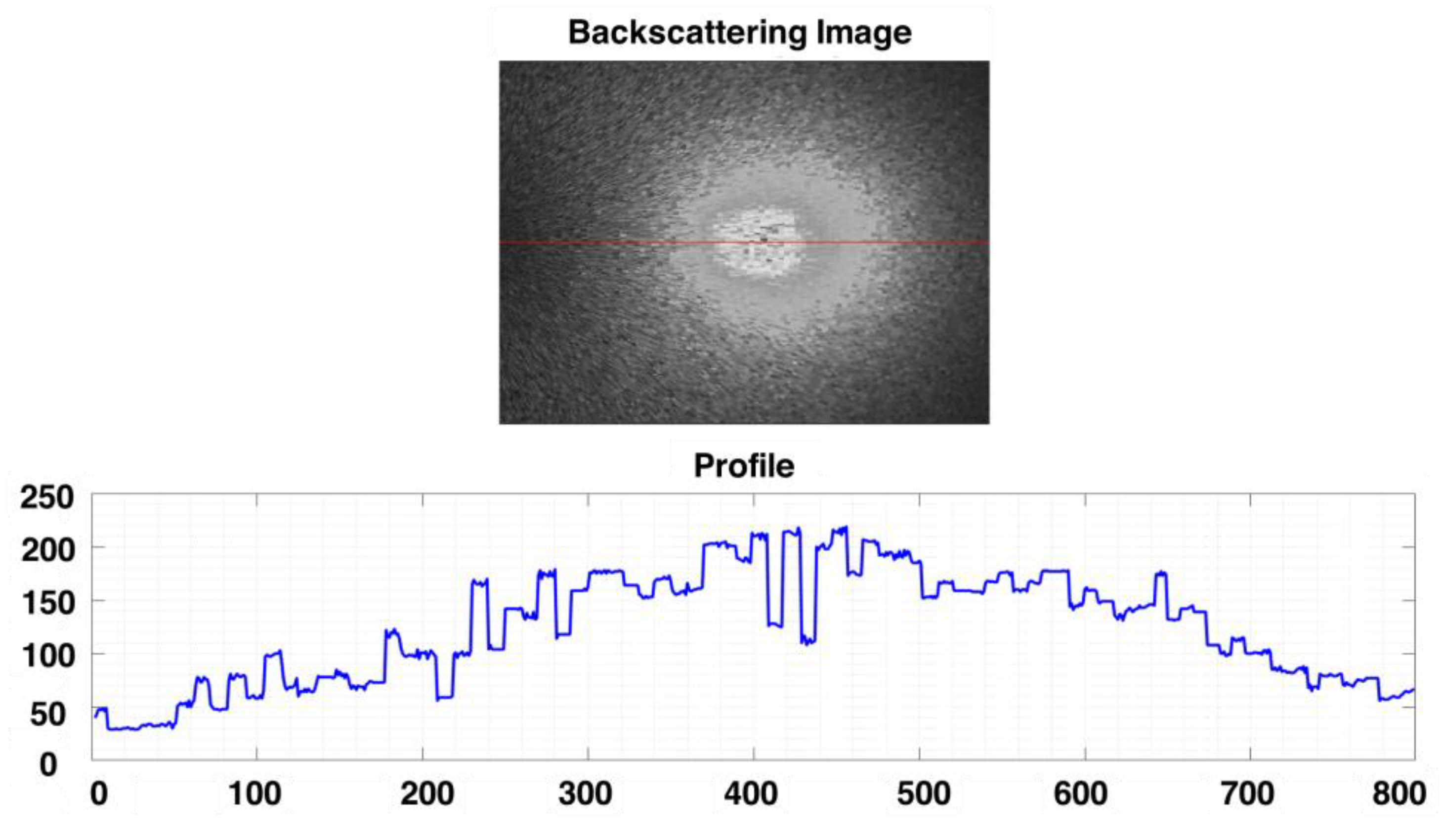 Engproc 55 00029 g004