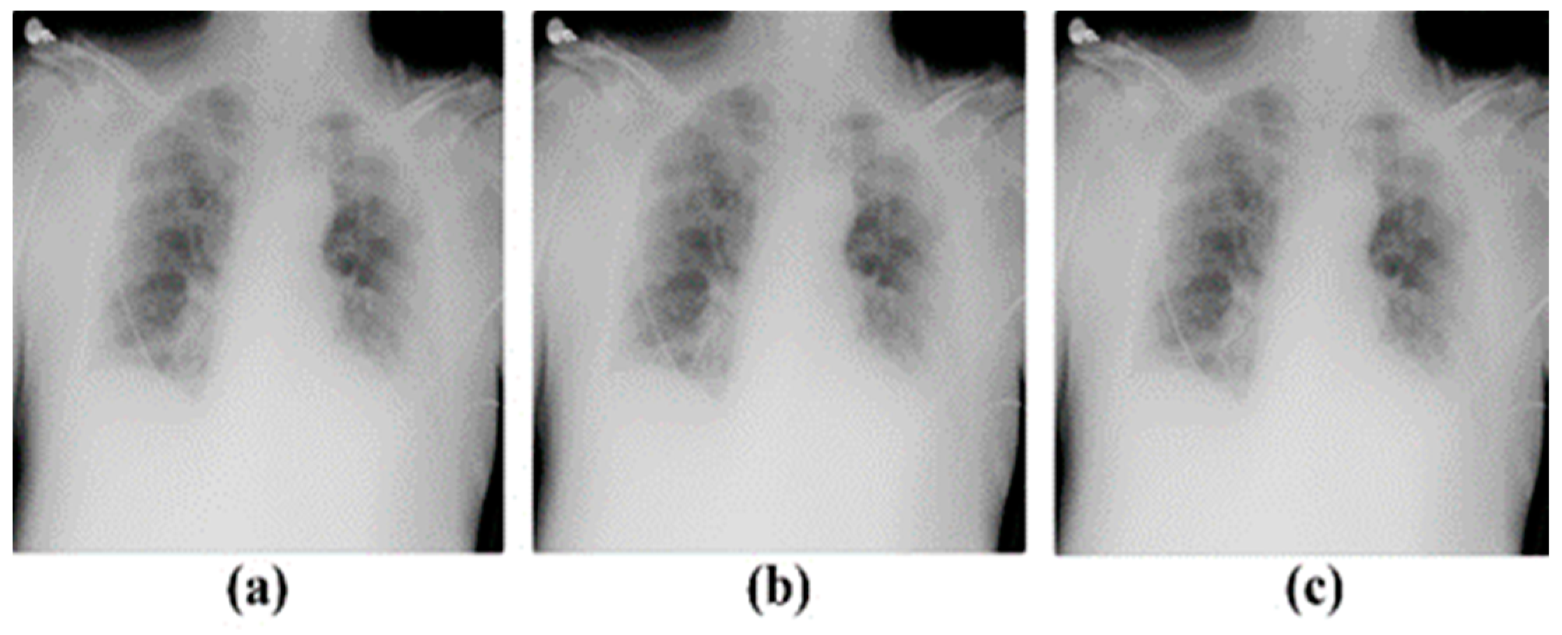Engproc 55 00045 g001