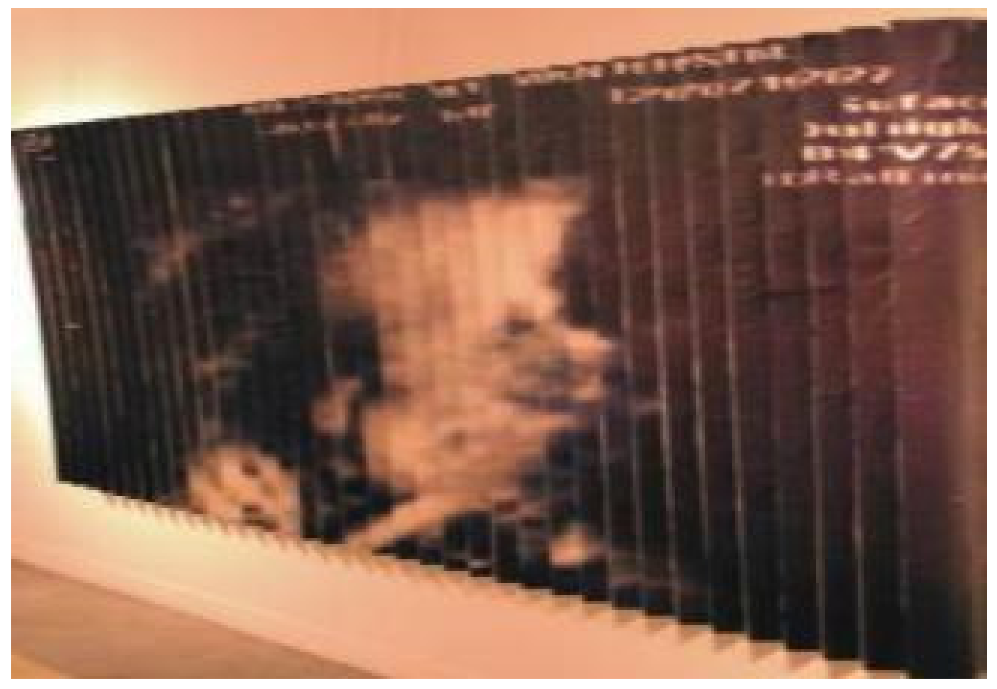 Engproc 55 00047 g003