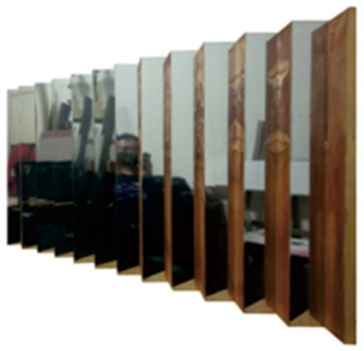 Engproc 55 00047 g009