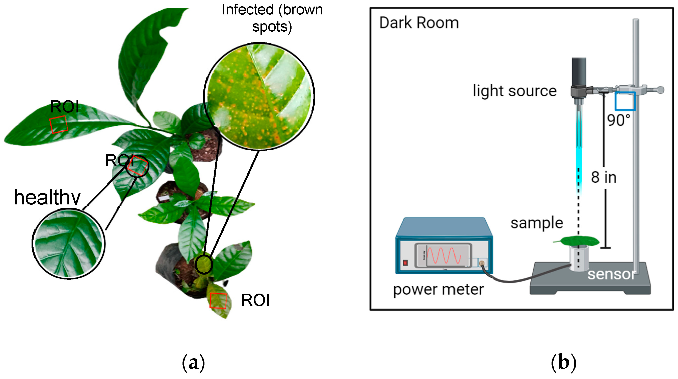 Engproc 56 00009 g001