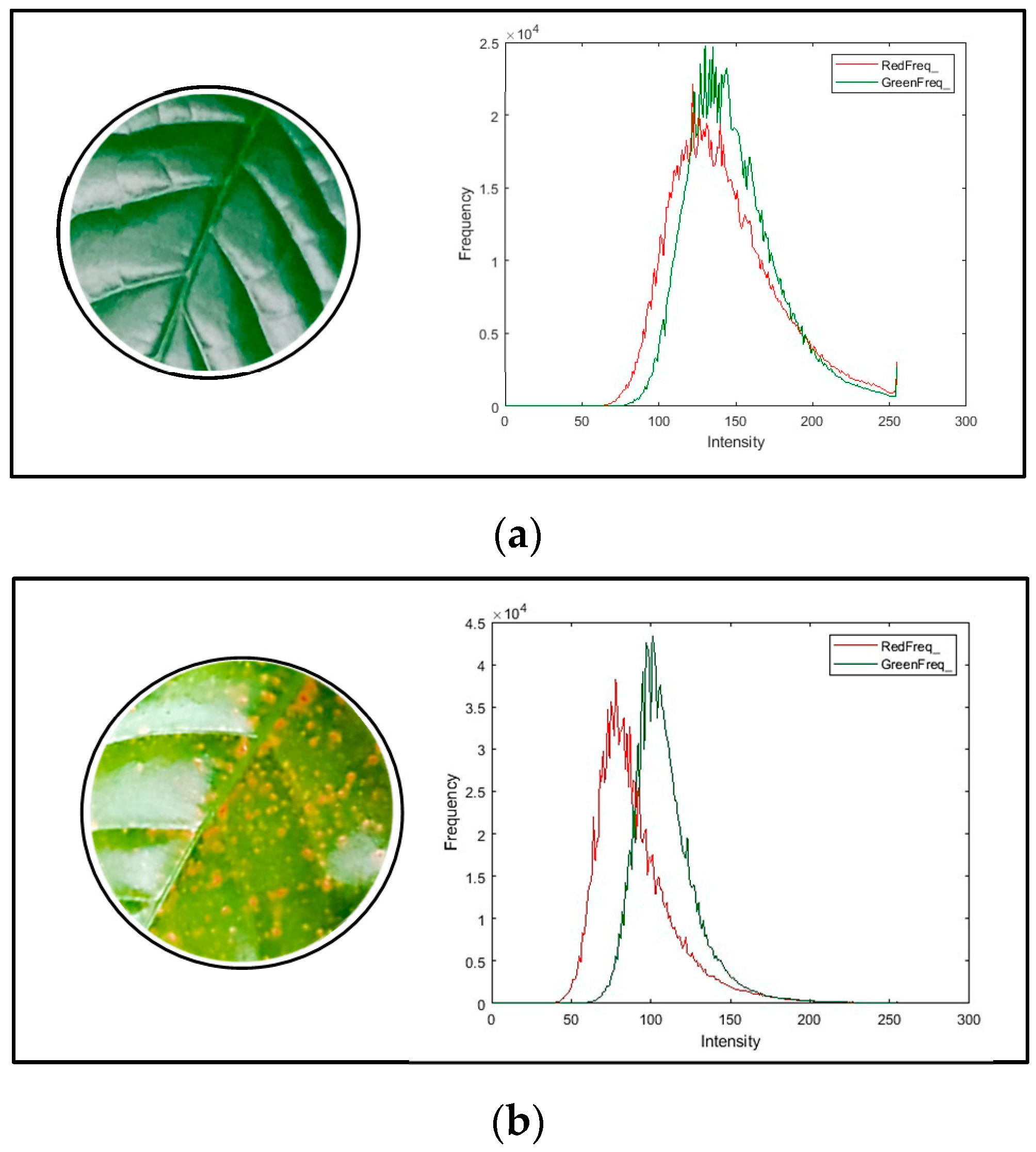 Engproc 56 00009 g002