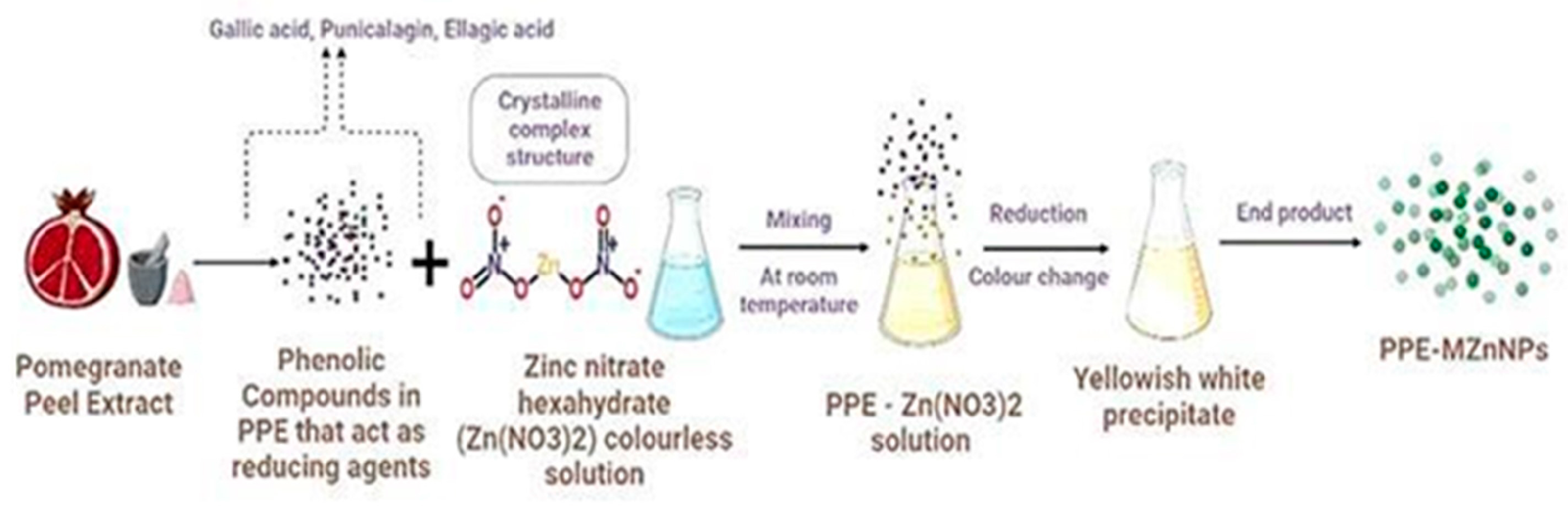 Engproc 56 00012 g001