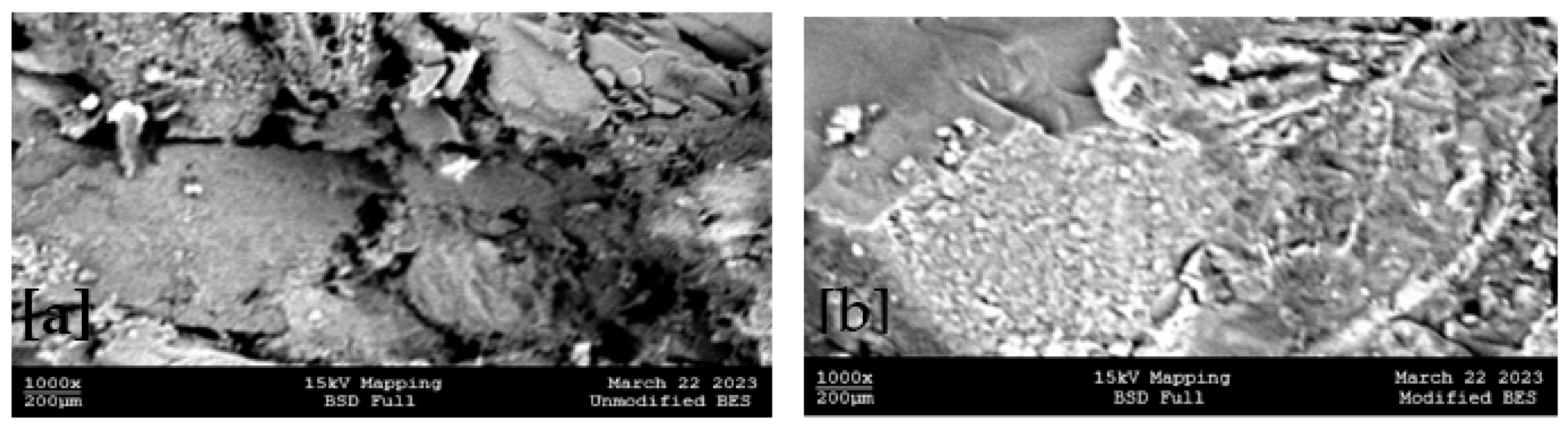 Engproc 56 00023 g005