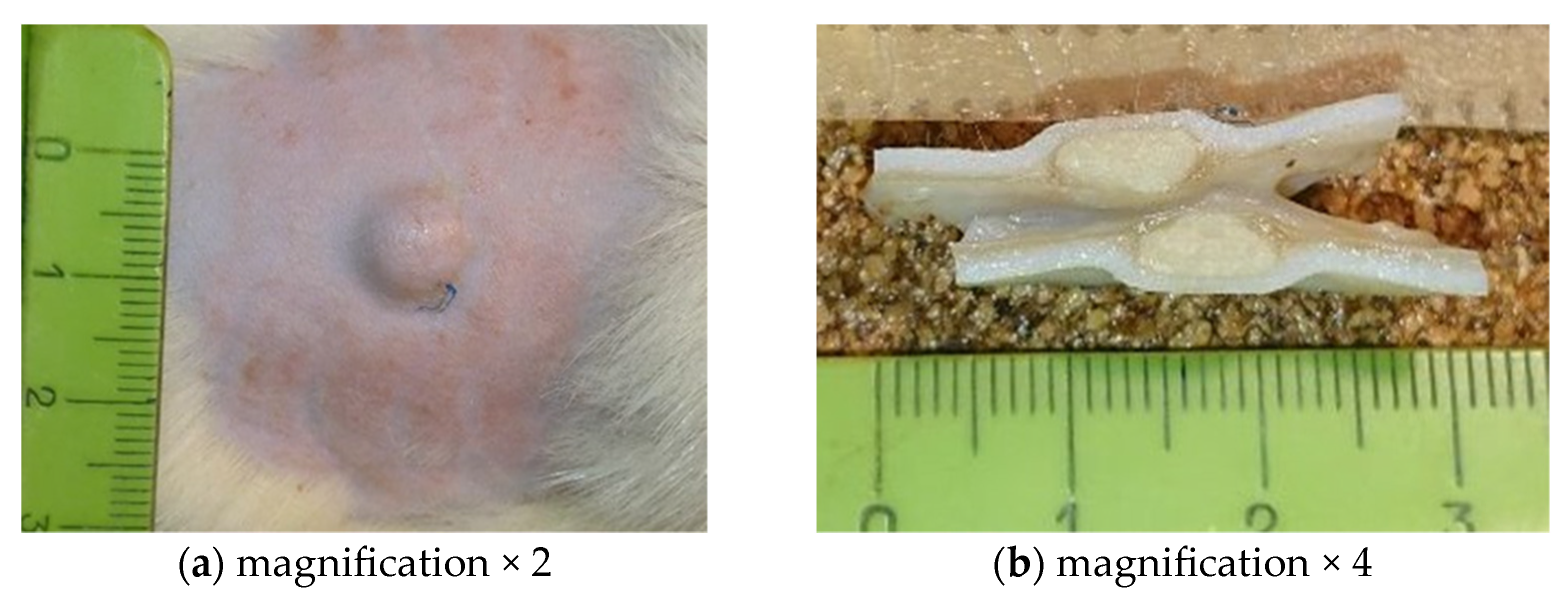 Engproc 56 00032 g003