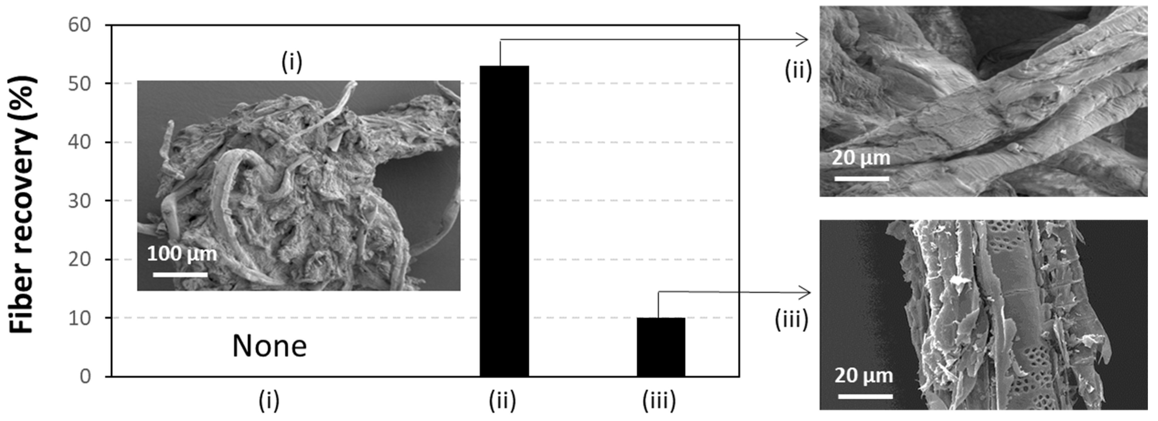 Engproc 56 00050 g004