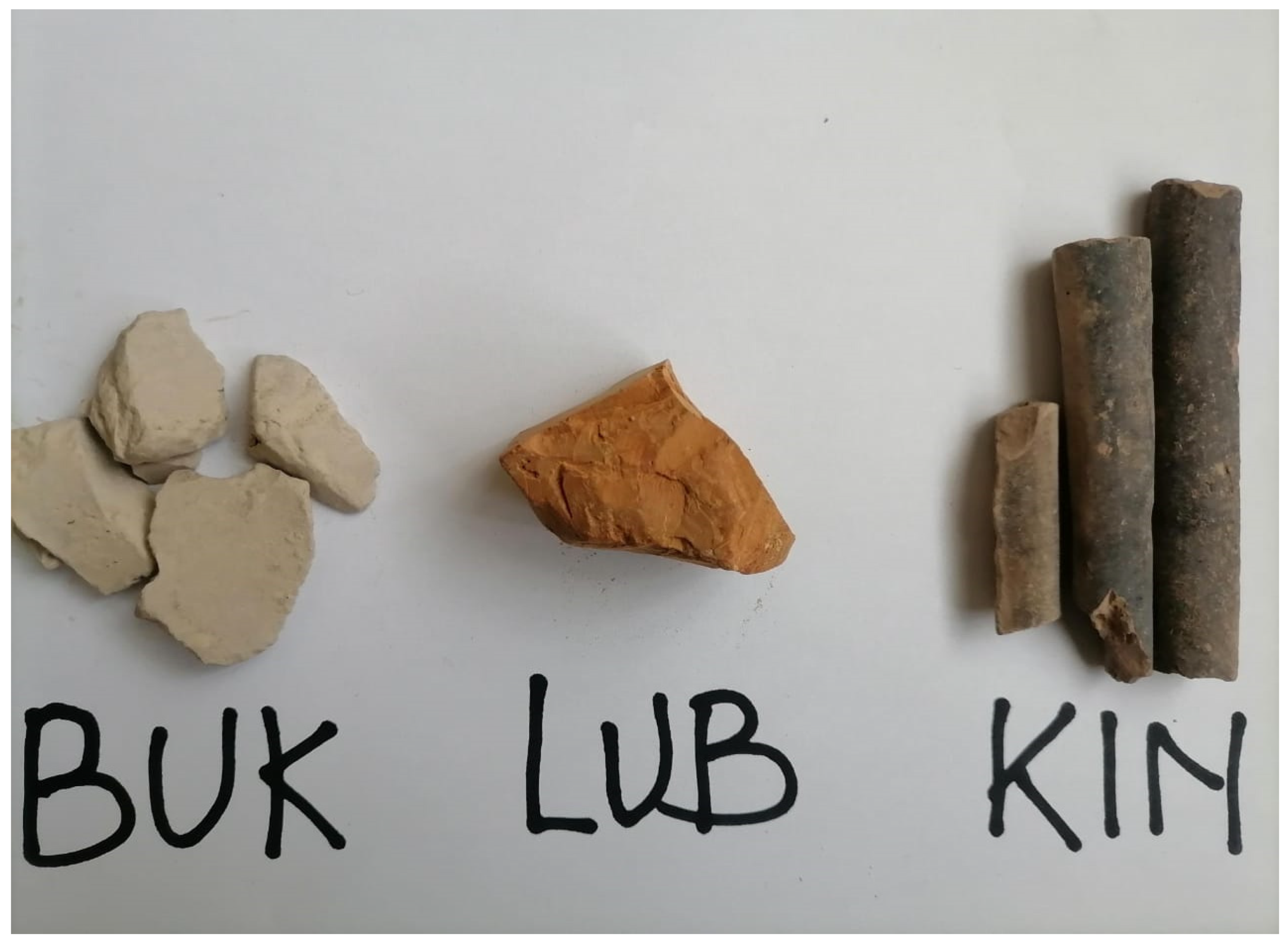 Engproc 56 00060 g001