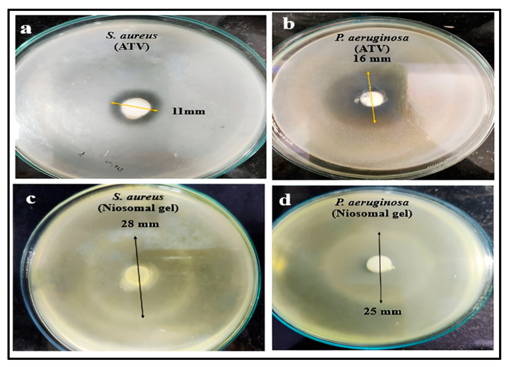 Engproc 56 00066 g005