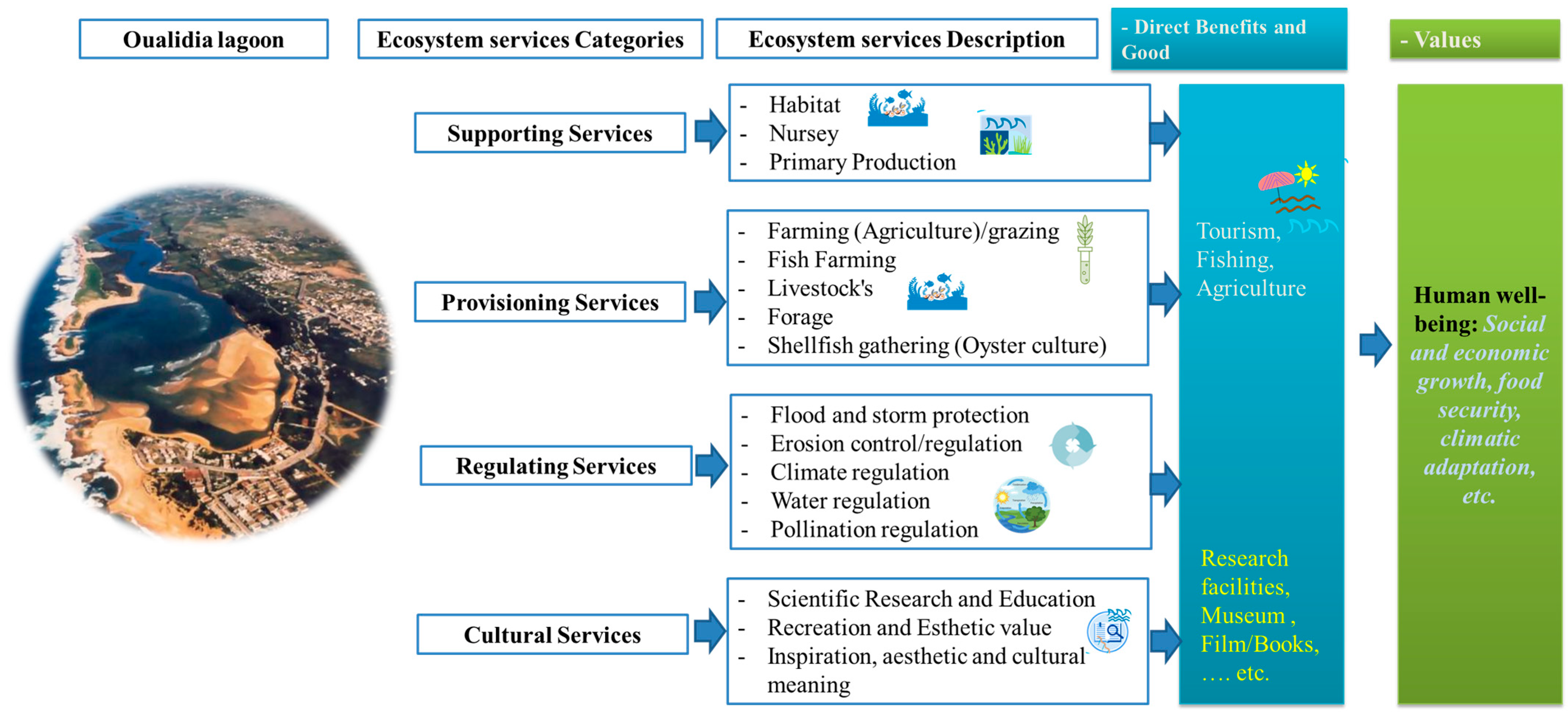 Engproc 56 00077 g003 Engproc 56 00077 g003