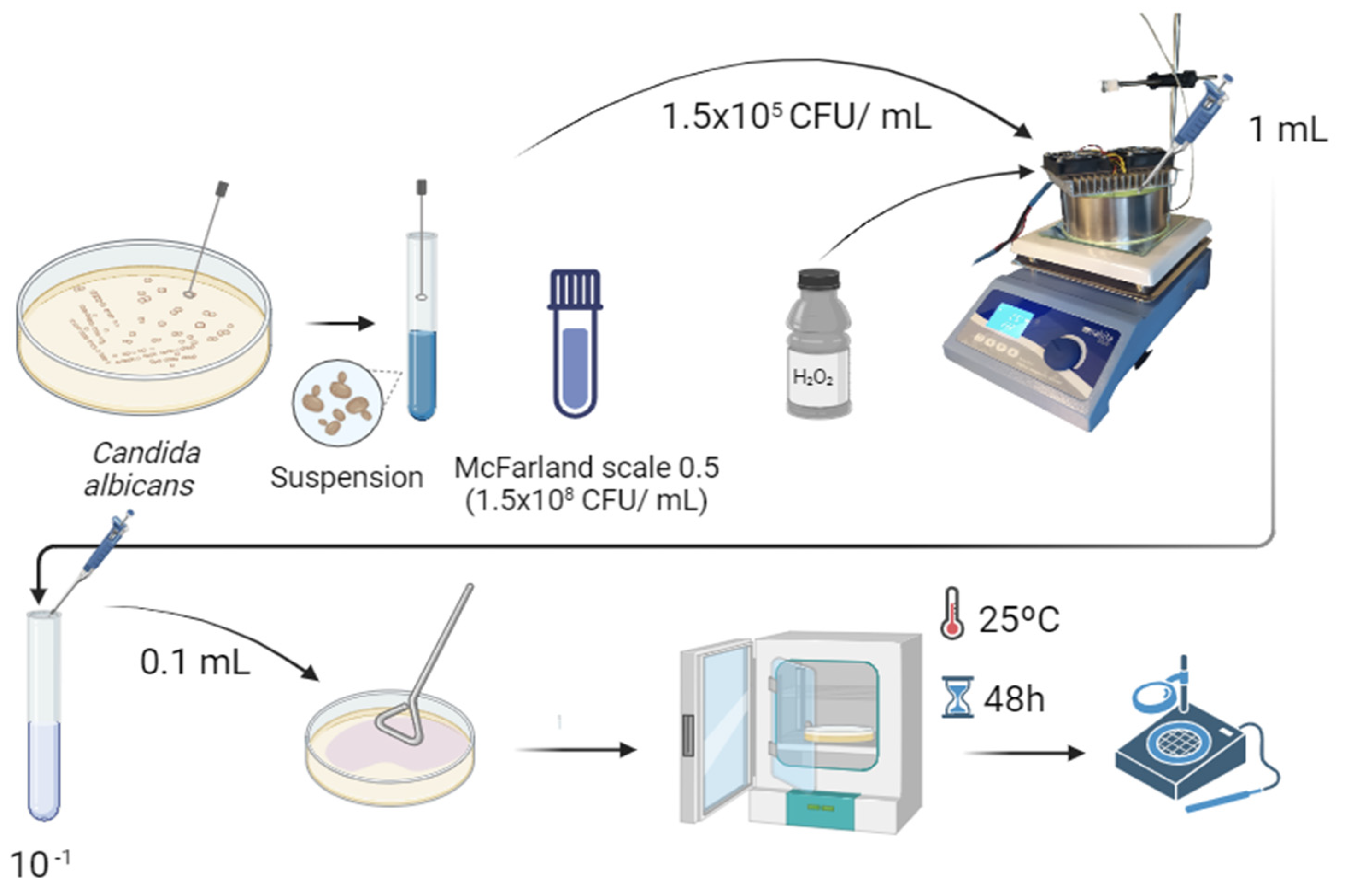 Engproc 56 00082 g001