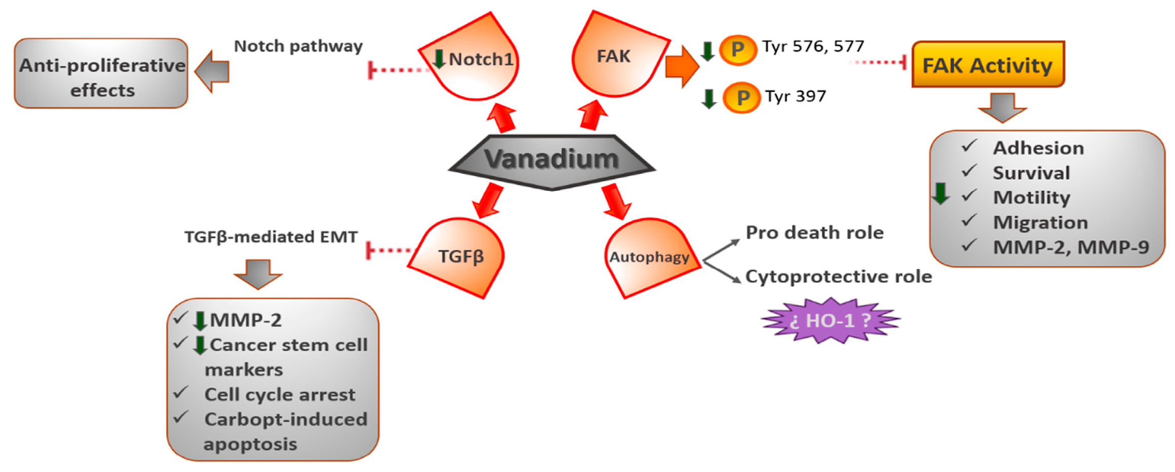 Engproc 56 00091 g004