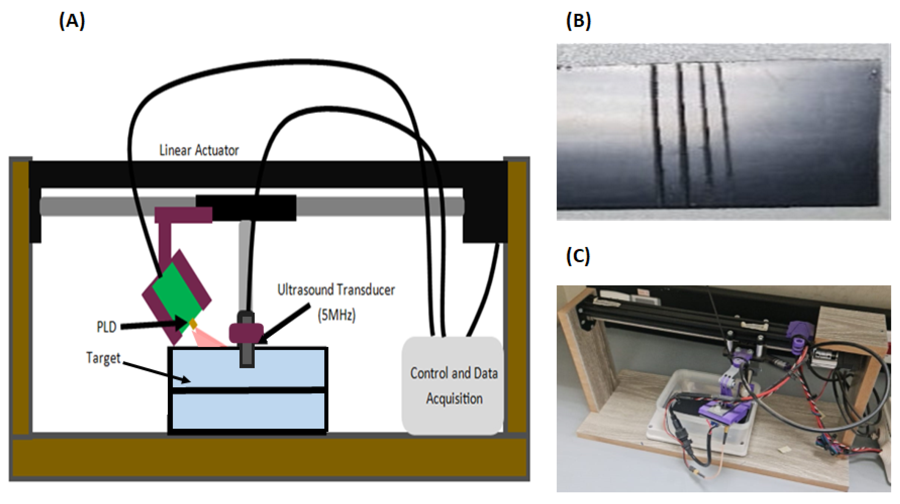 Engproc 56 00092 g002