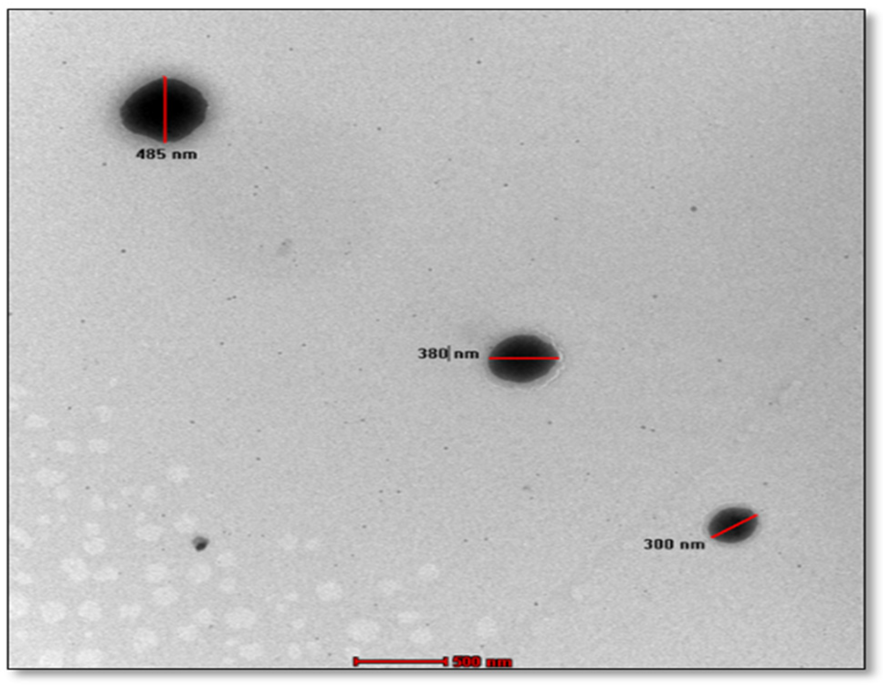 Engproc 56 00100 g002