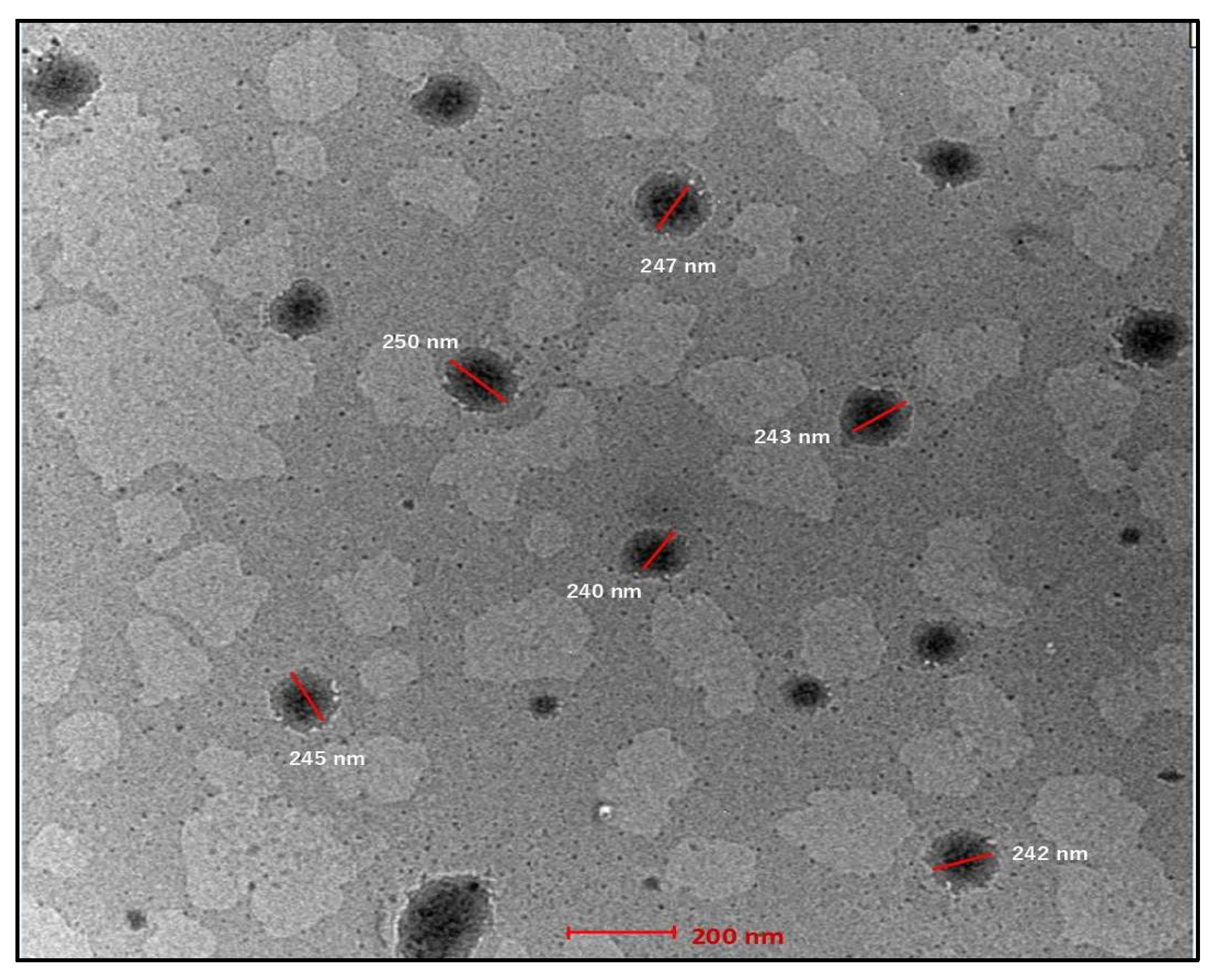 Engproc 56 00101 g002