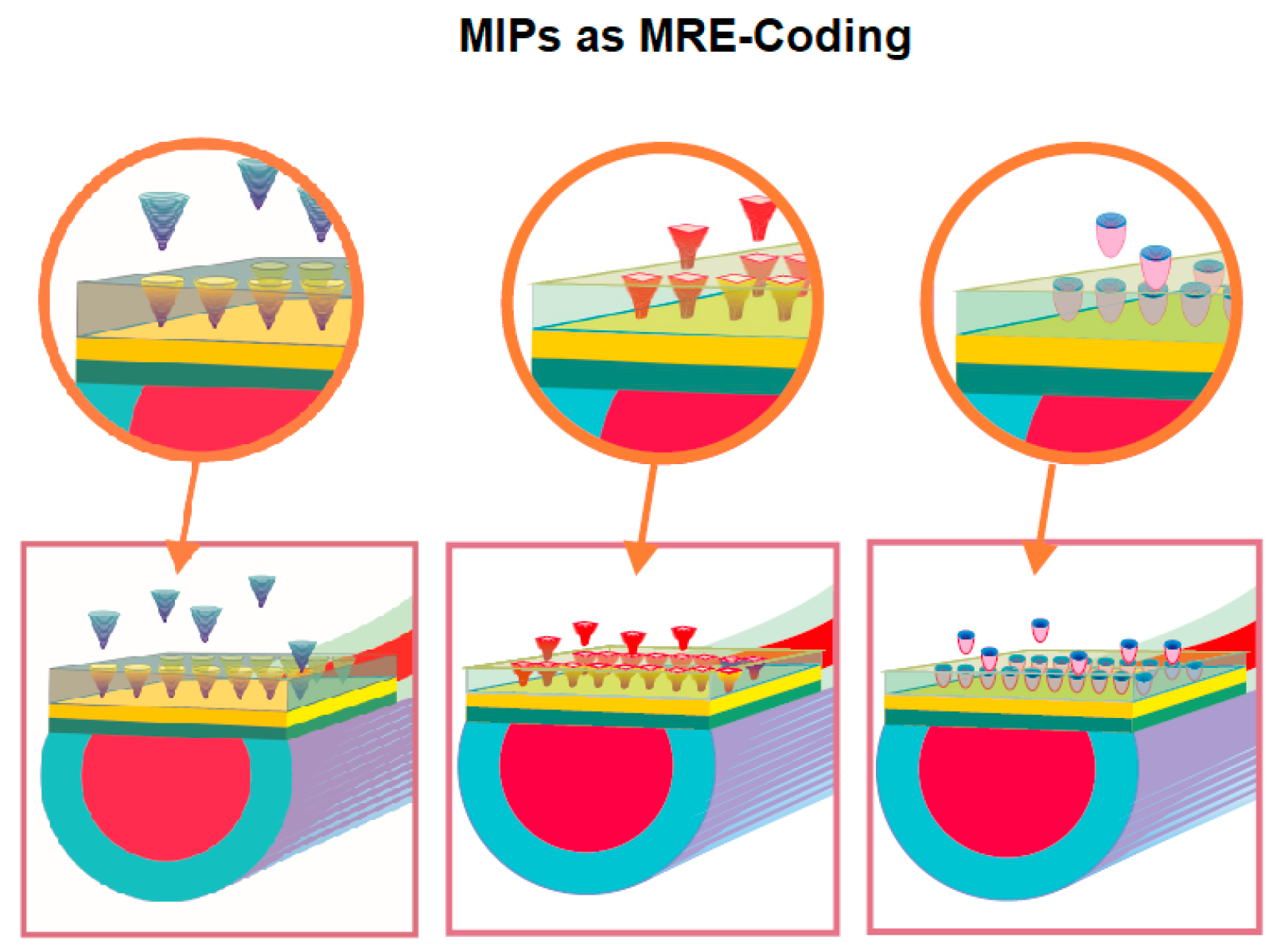Engproc 56 00113 g002
