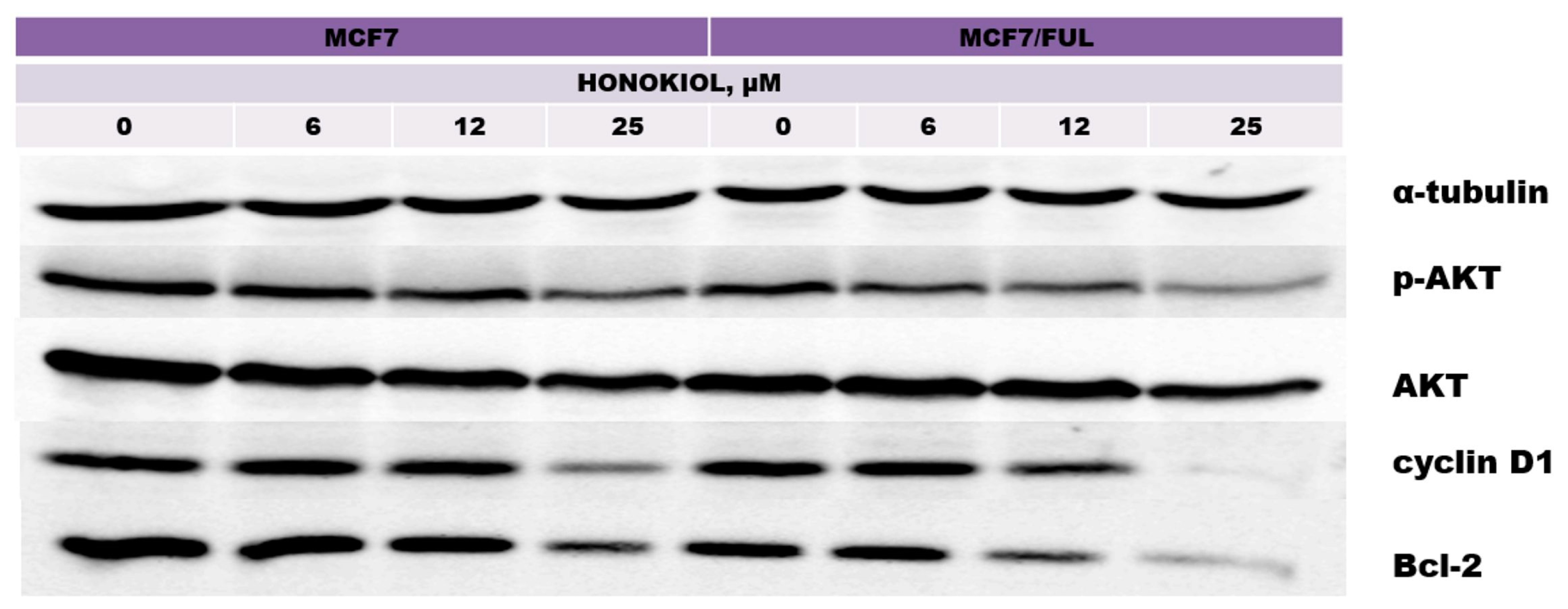 Engproc 56 00141 g002