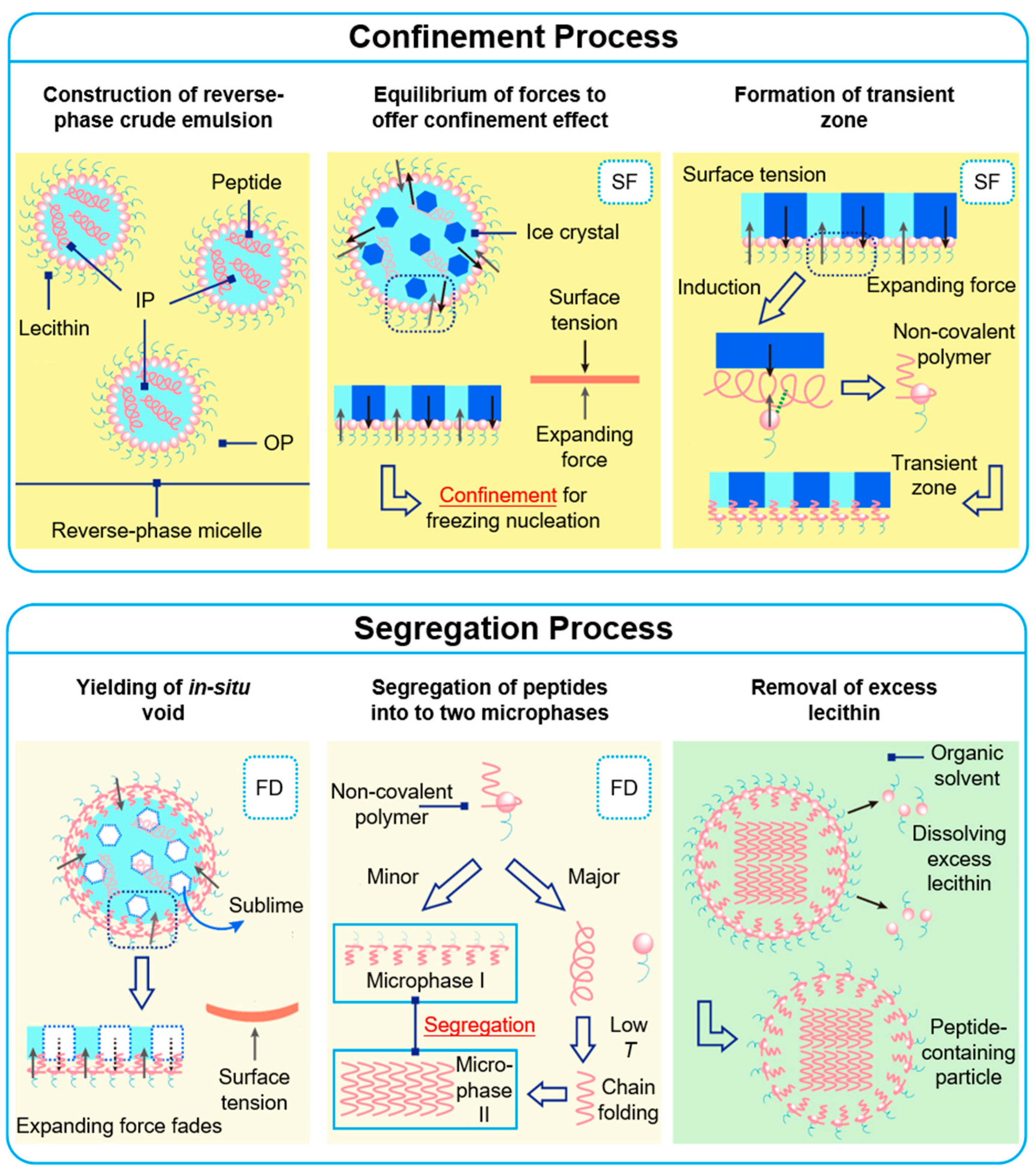 Engproc 56 00143 g001