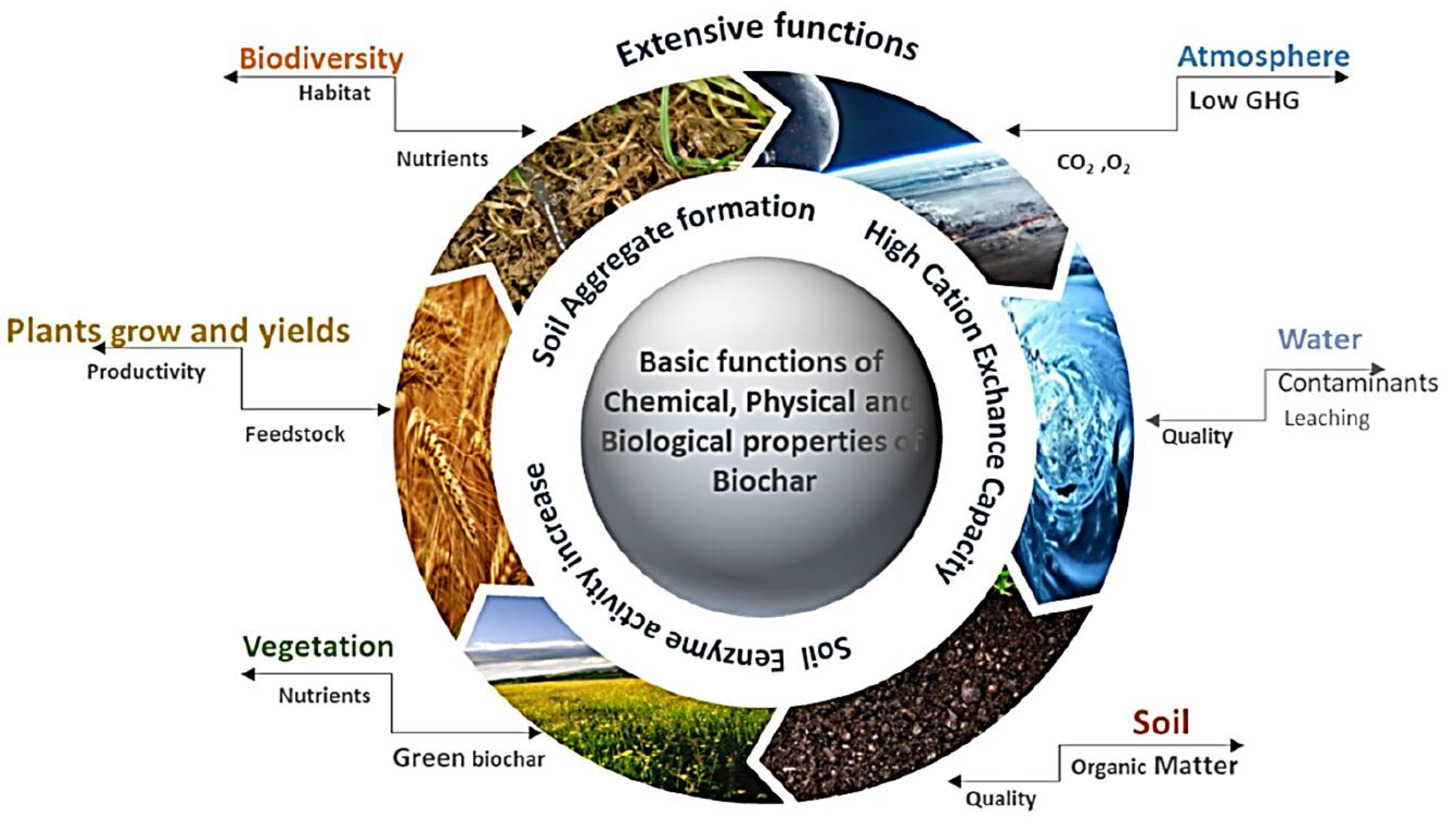 Engproc 56 00149 g001