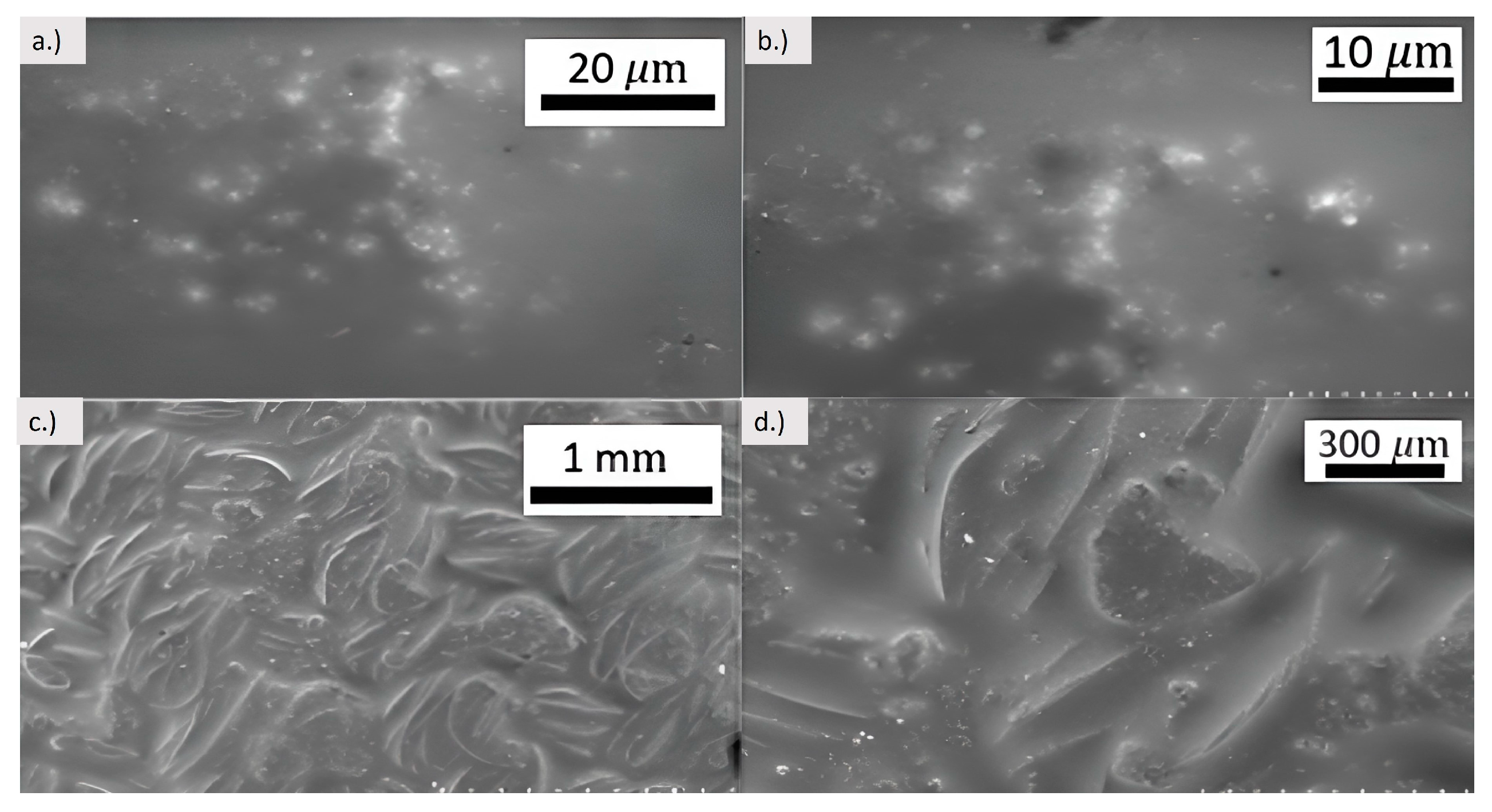 Engproc 56 00155 g005